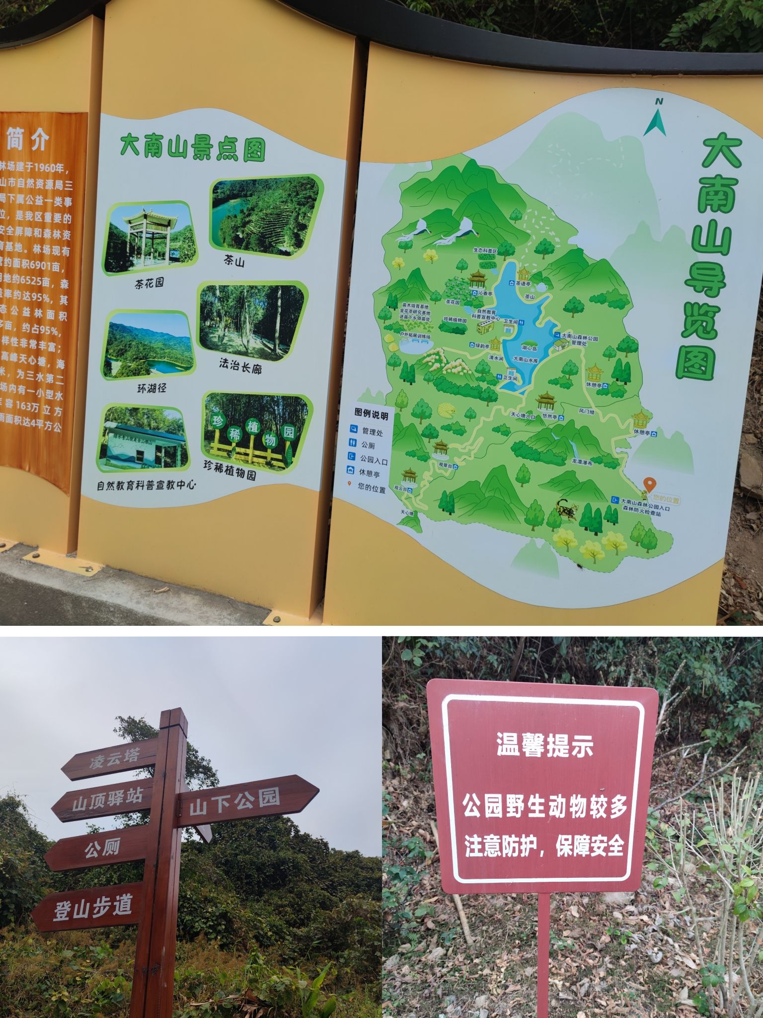 大南山森林公园旅行图片 1