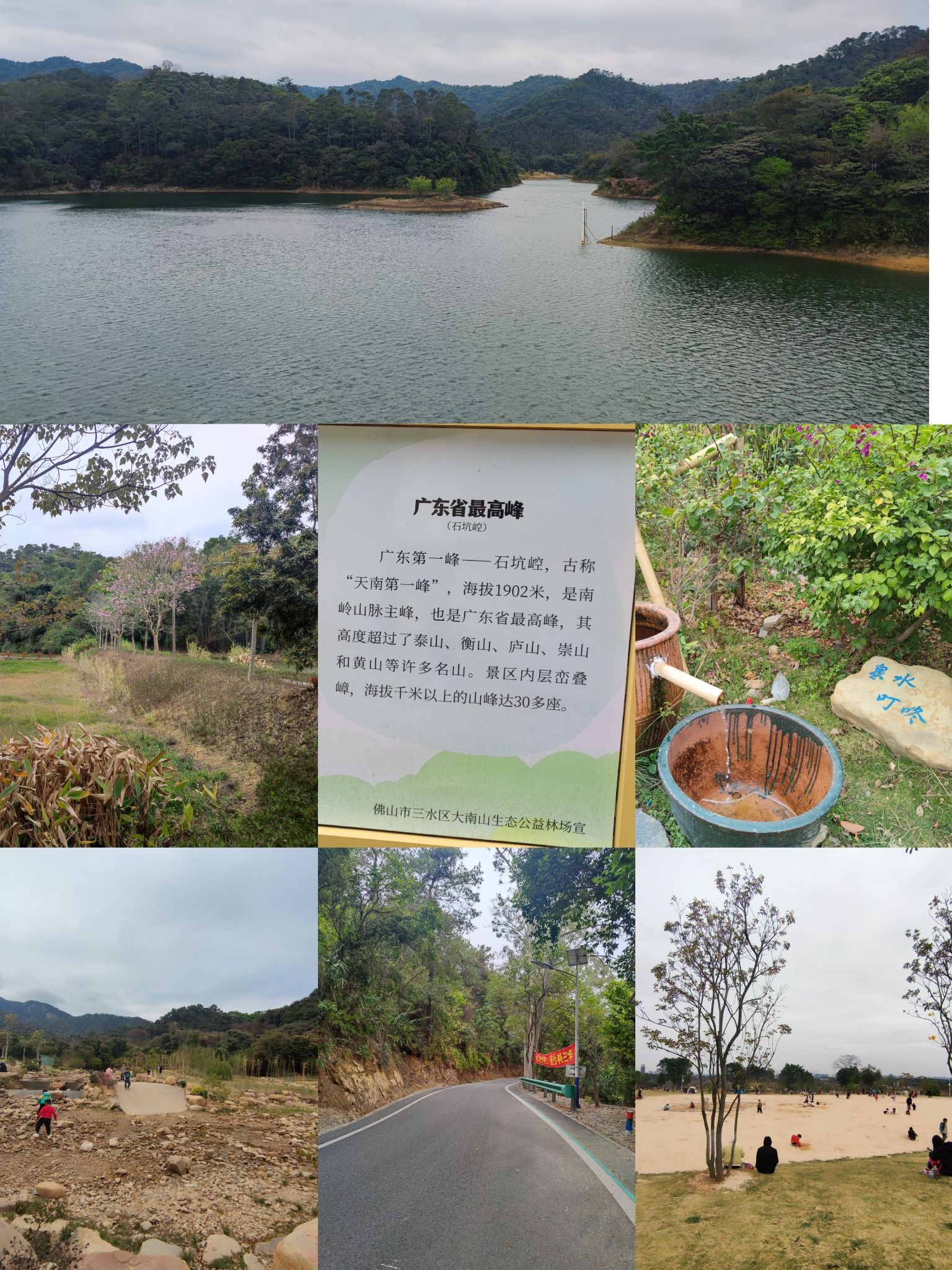 大南山森林公园旅行图片 2