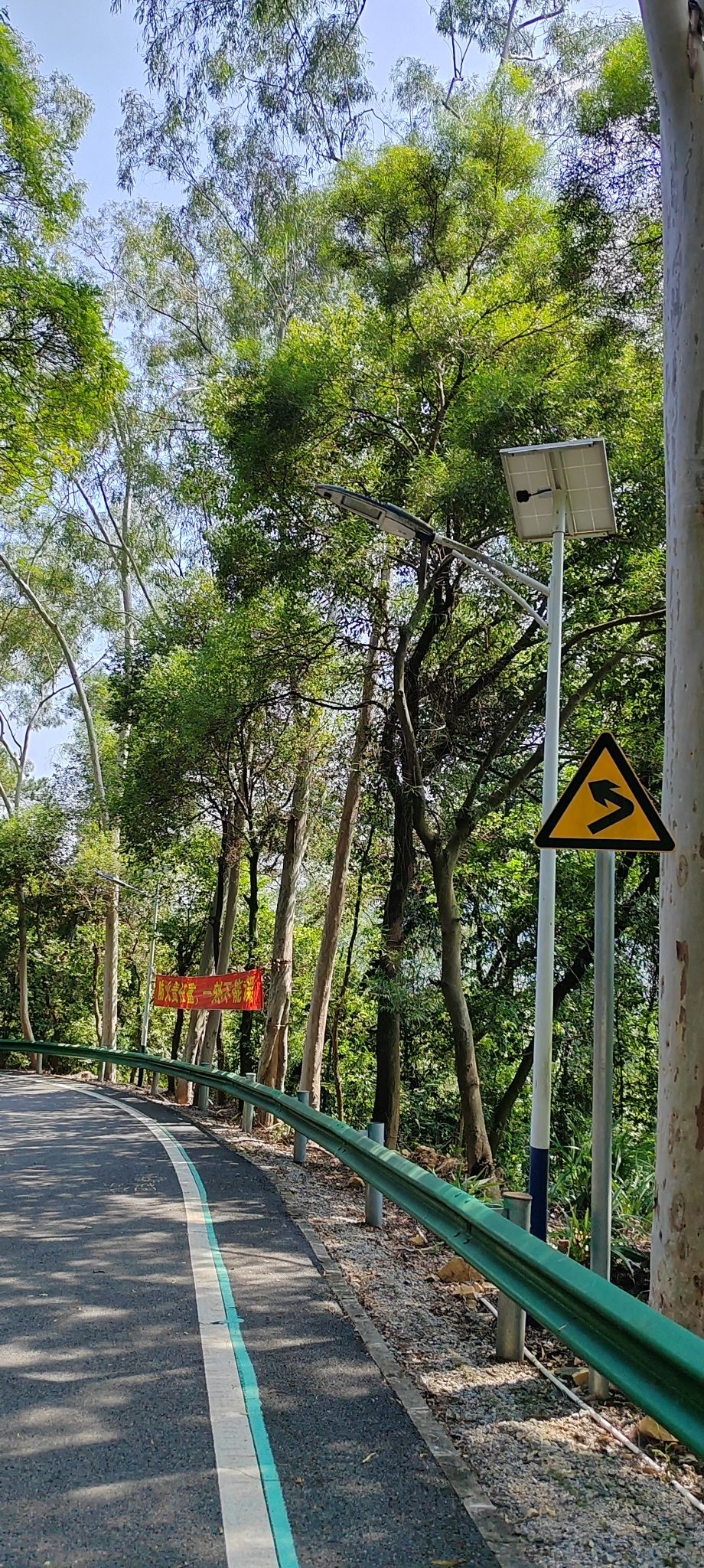 大南山森林公园旅行图片 1