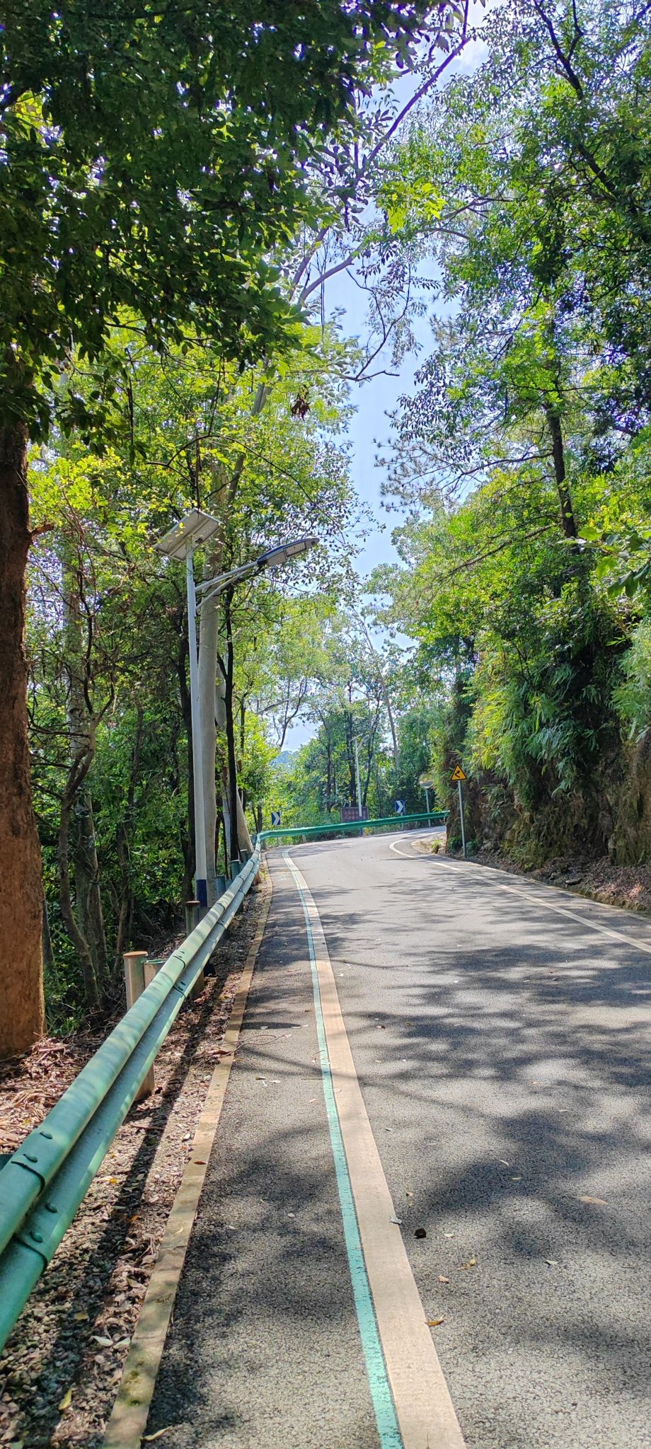 大南山森林公园旅行图片 3