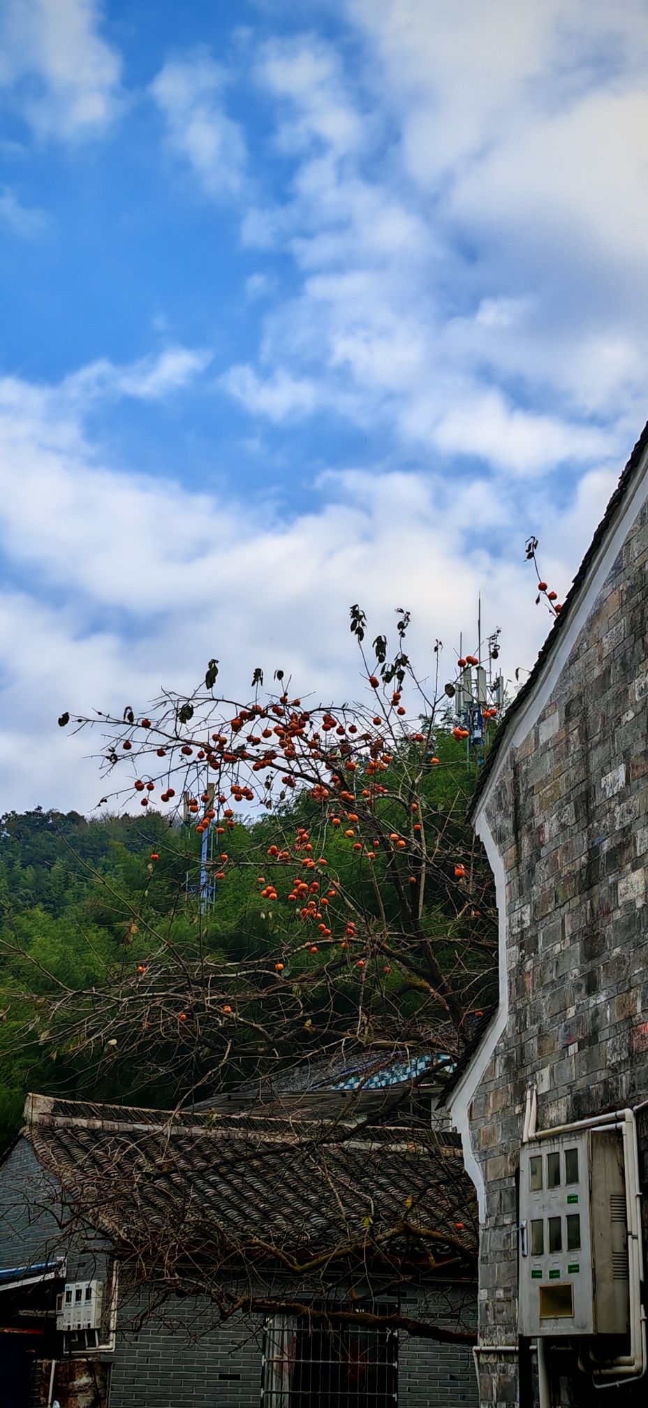 栖霞坑古道旅行图片 3