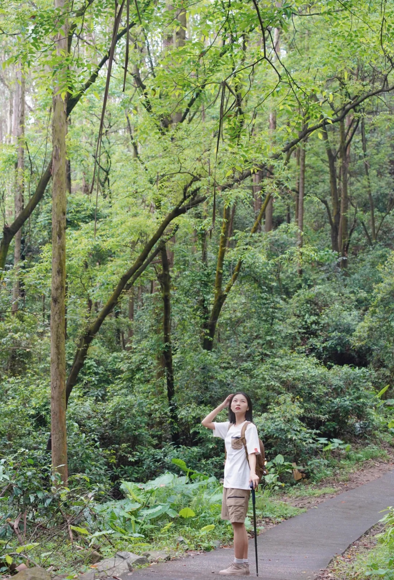 京溪生态公园旅行图片 2