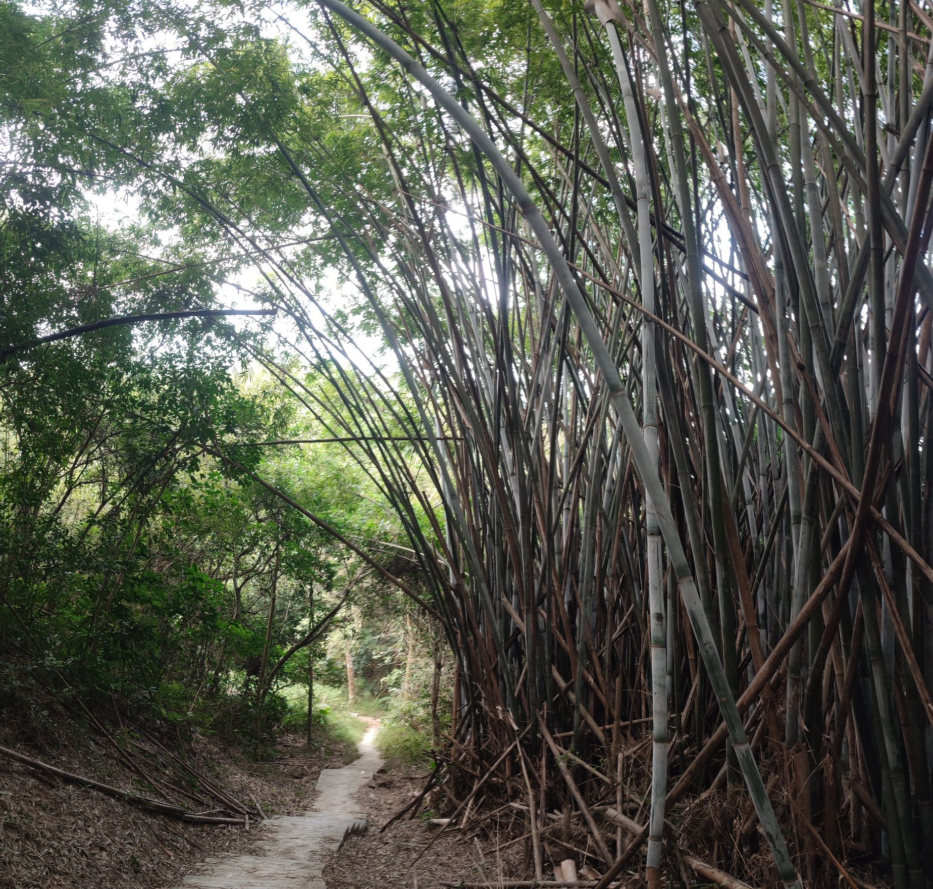 京溪生态公园旅行图片 1