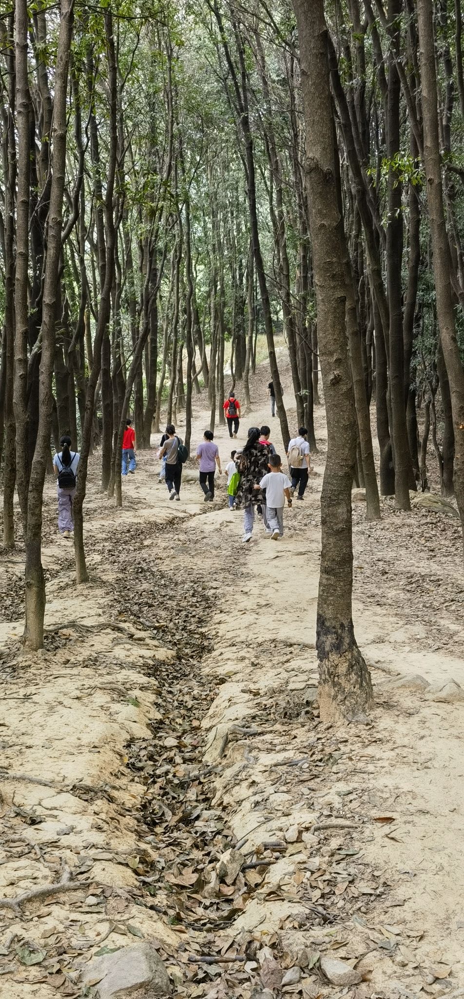 京溪生态公园旅行图片 3