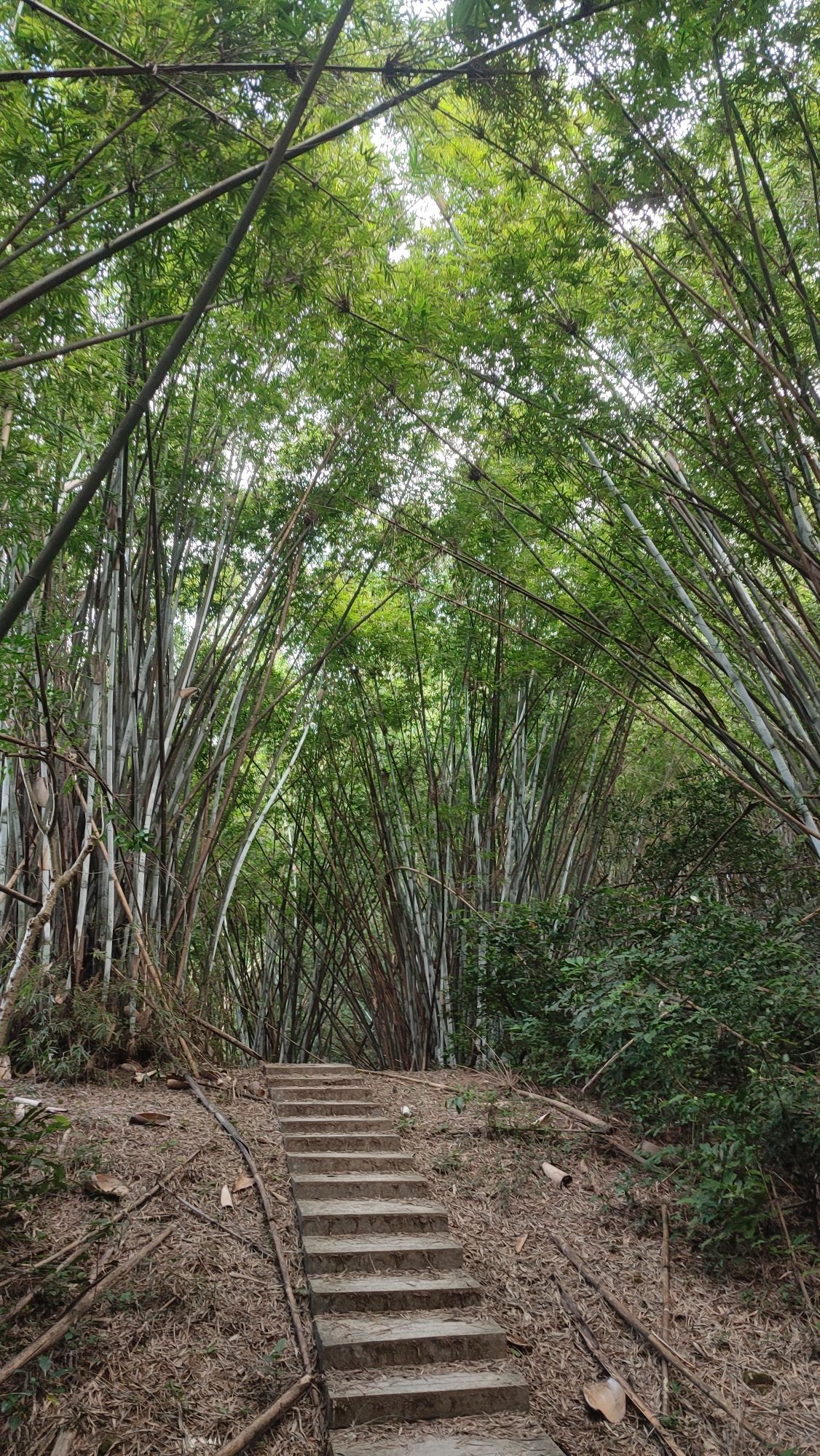 京溪生态公园旅行图片 2