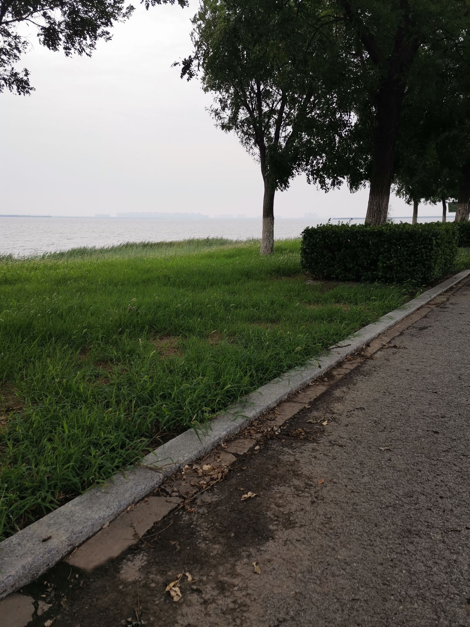 团泊湖(石碑打卡地)旅行图片 1