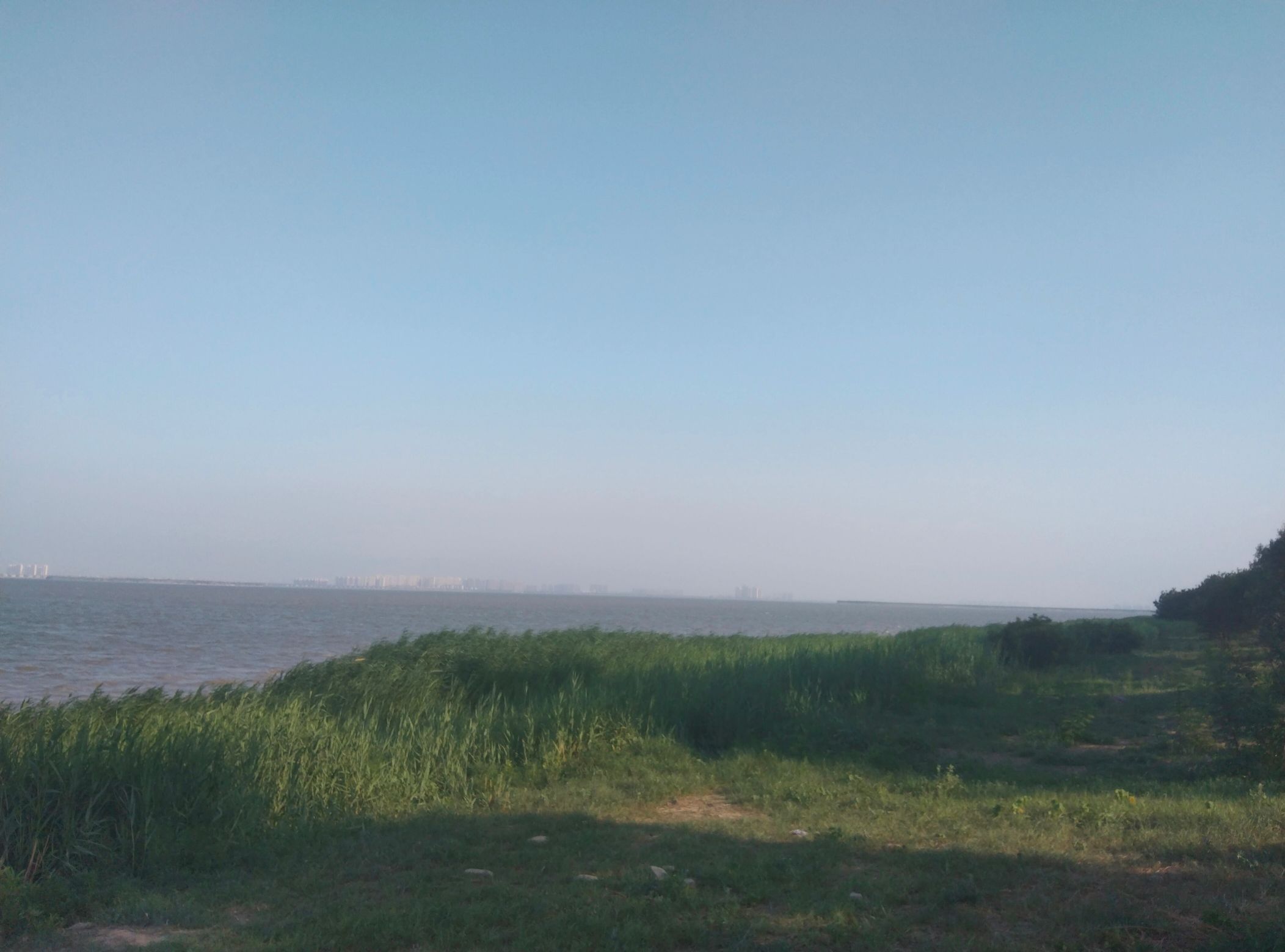 团泊湖(石碑打卡地)旅行图片 1