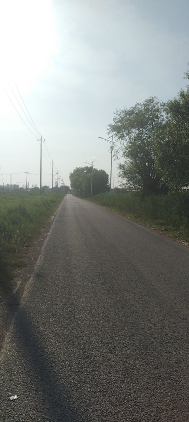 团泊湖(石碑打卡地)旅行图片 3