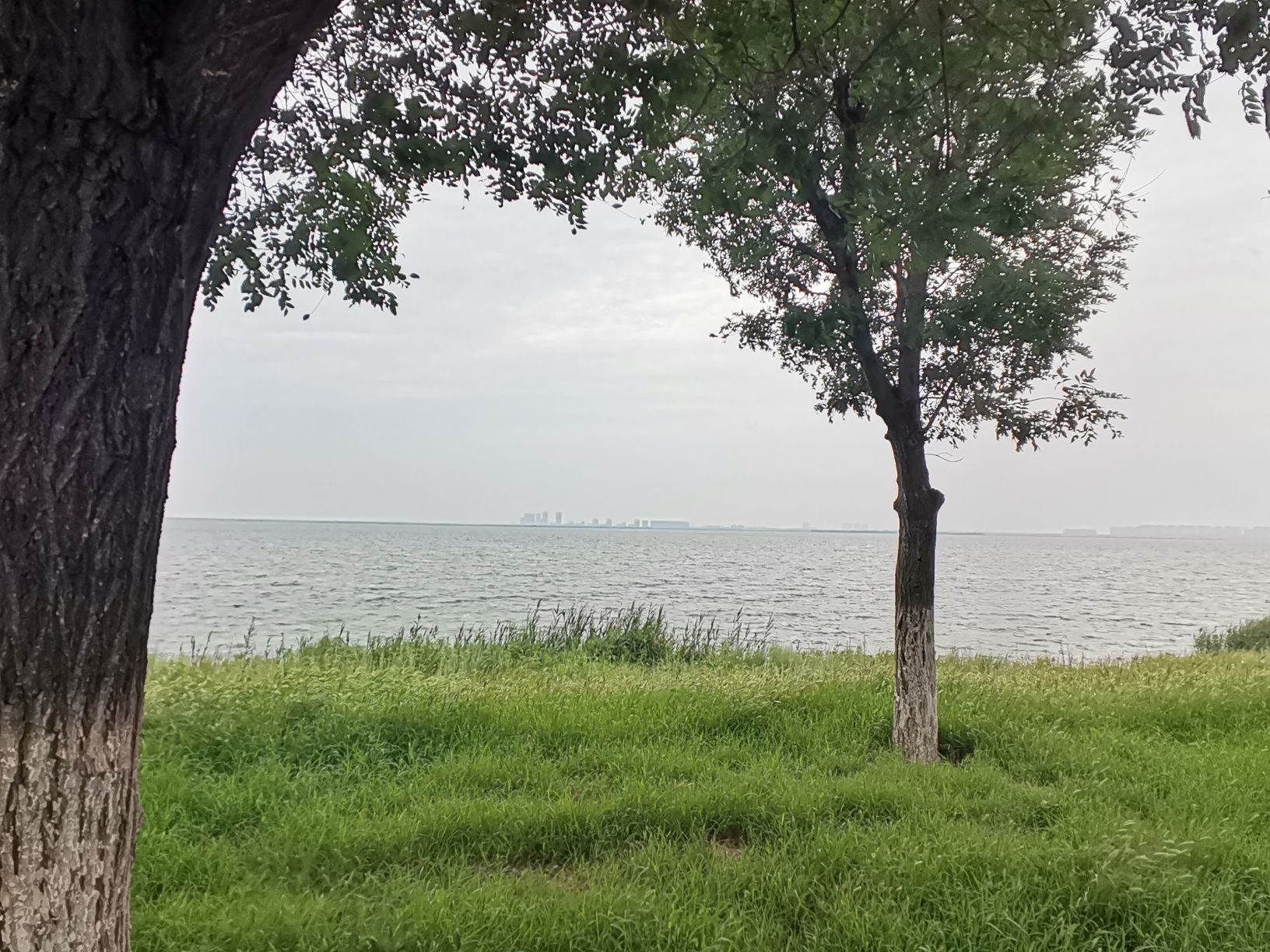 团泊湖(石碑打卡地)旅行图片 2