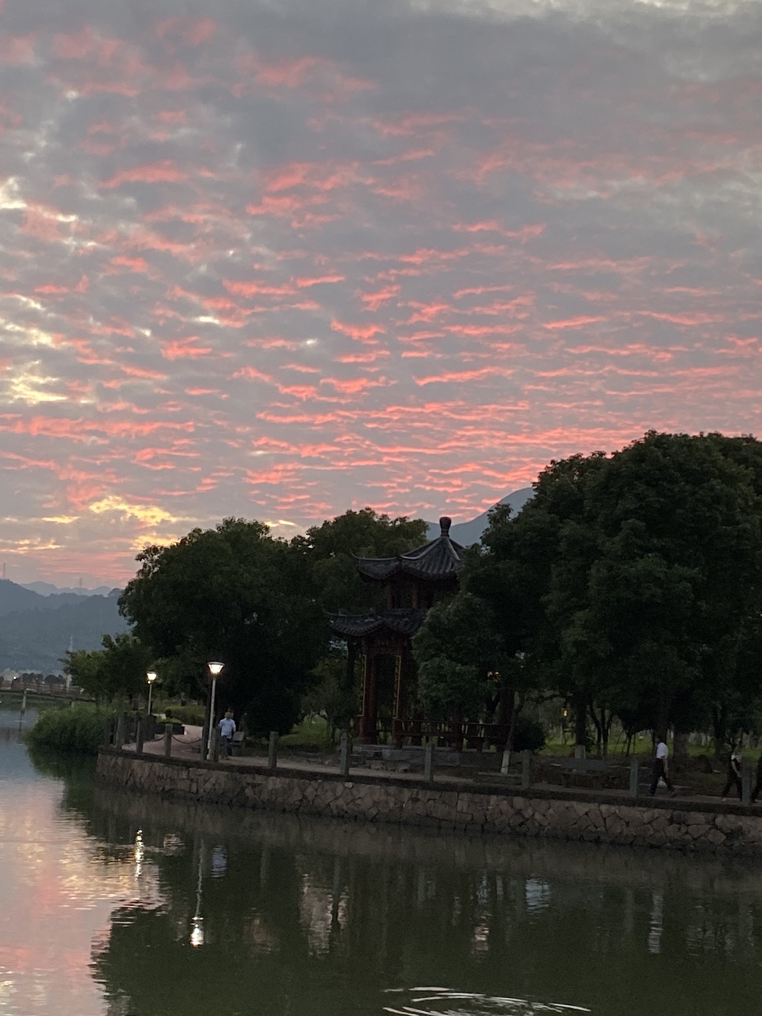 大乌石村滨水樱花园旅行图片 3