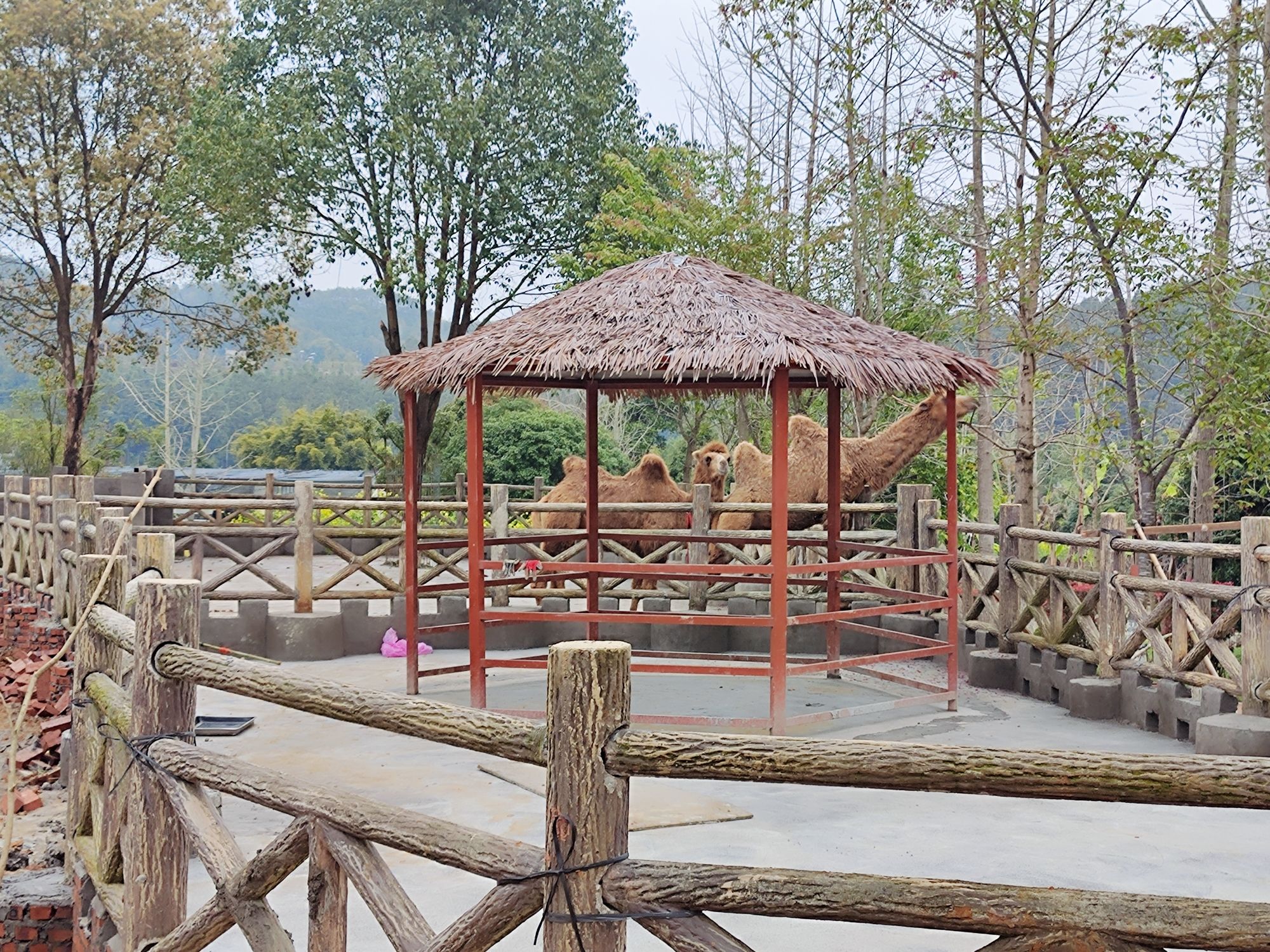 武夷花花世界旅行图片 3