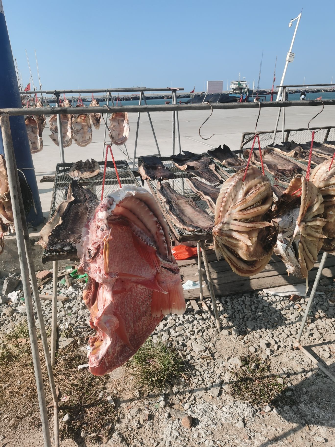 东方市海鲜码头(暂停营业)