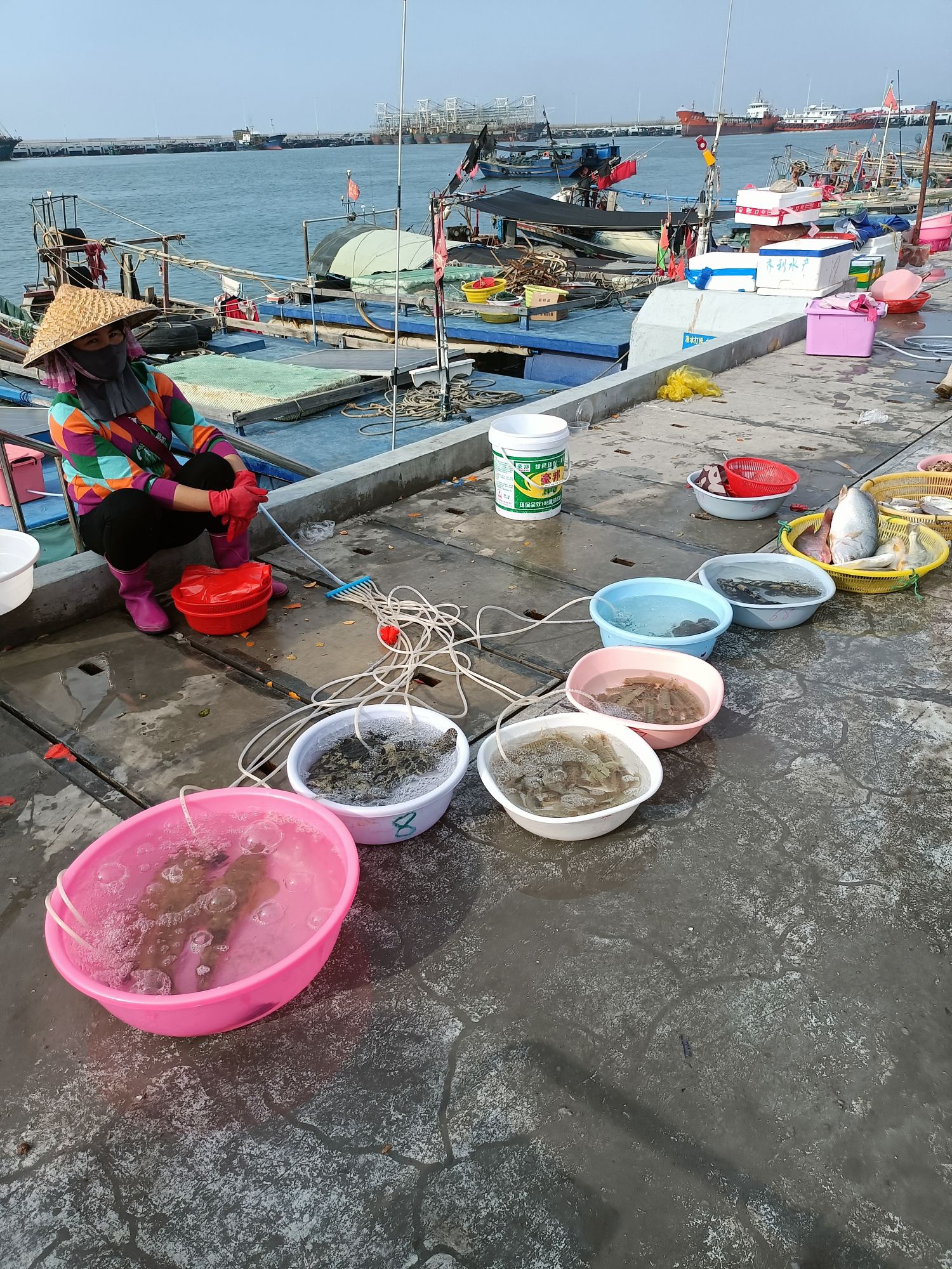 东方市海鲜码头(暂停营业)