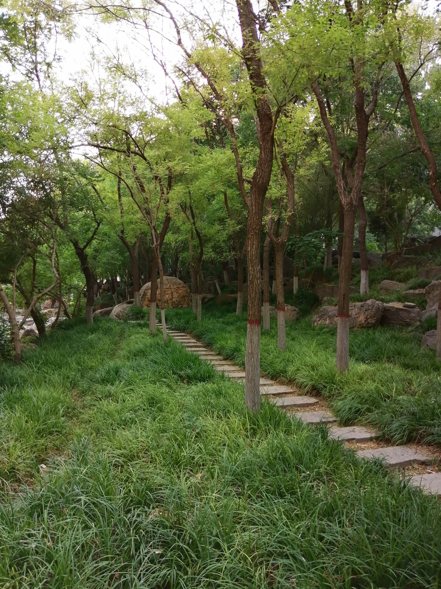 健康主题公园旅行图片 3