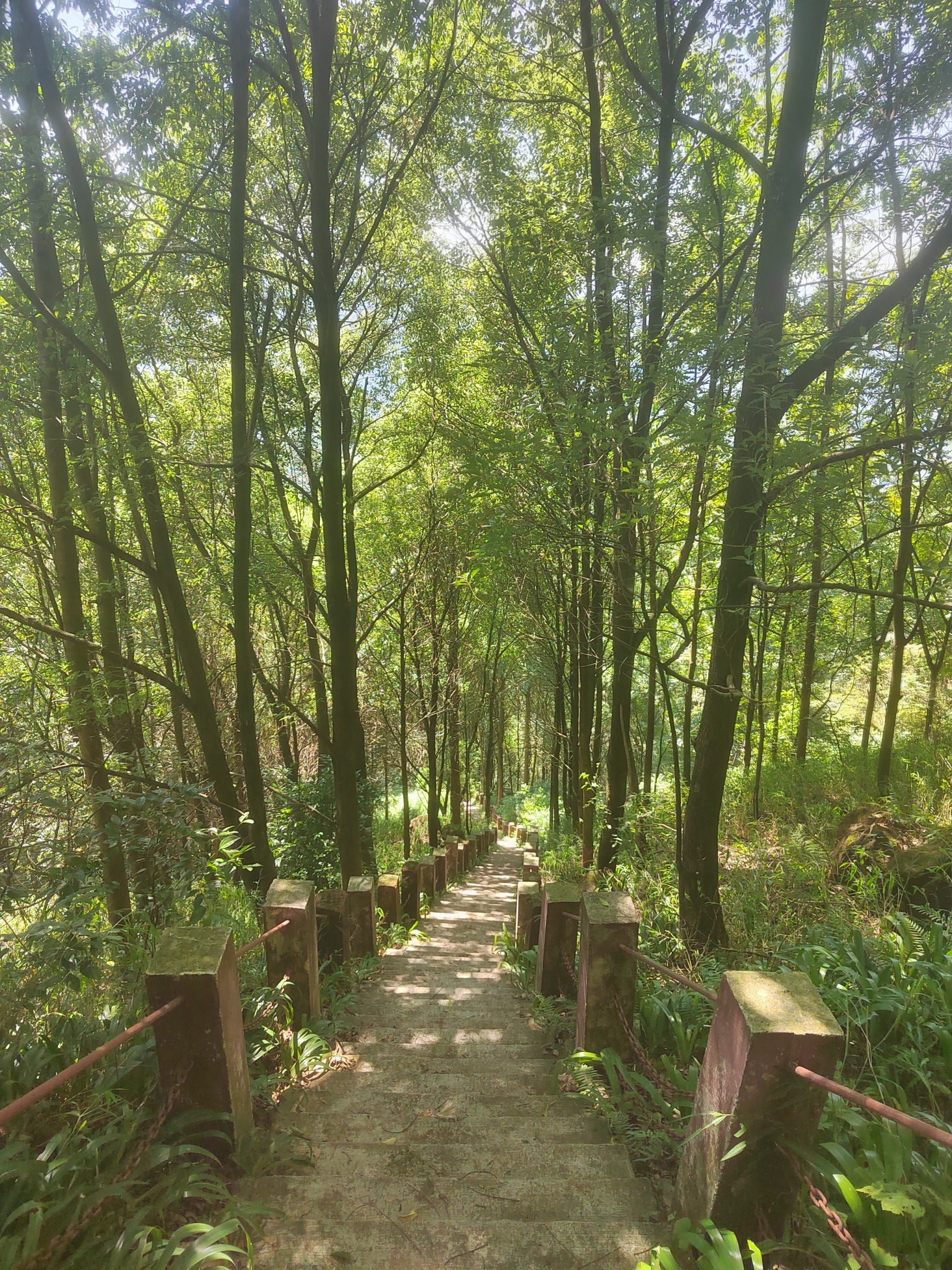 可久红岩山旅行图片 2