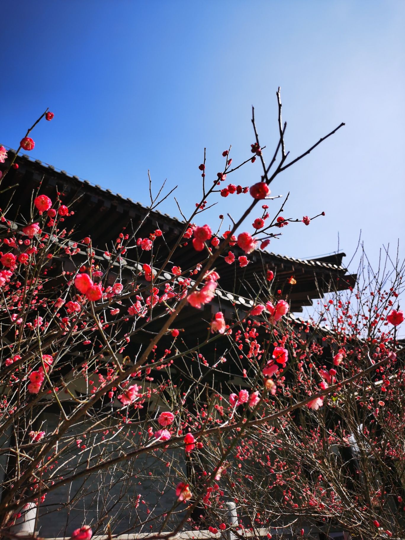 洞山景区旅行图片 1