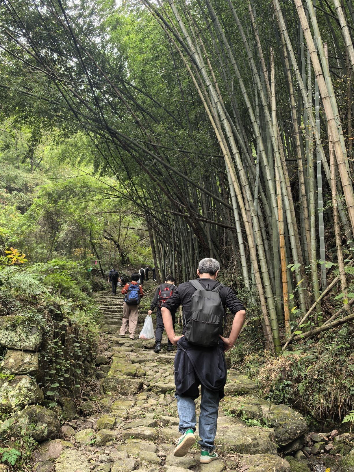 日铸岭古道旅行图片 3