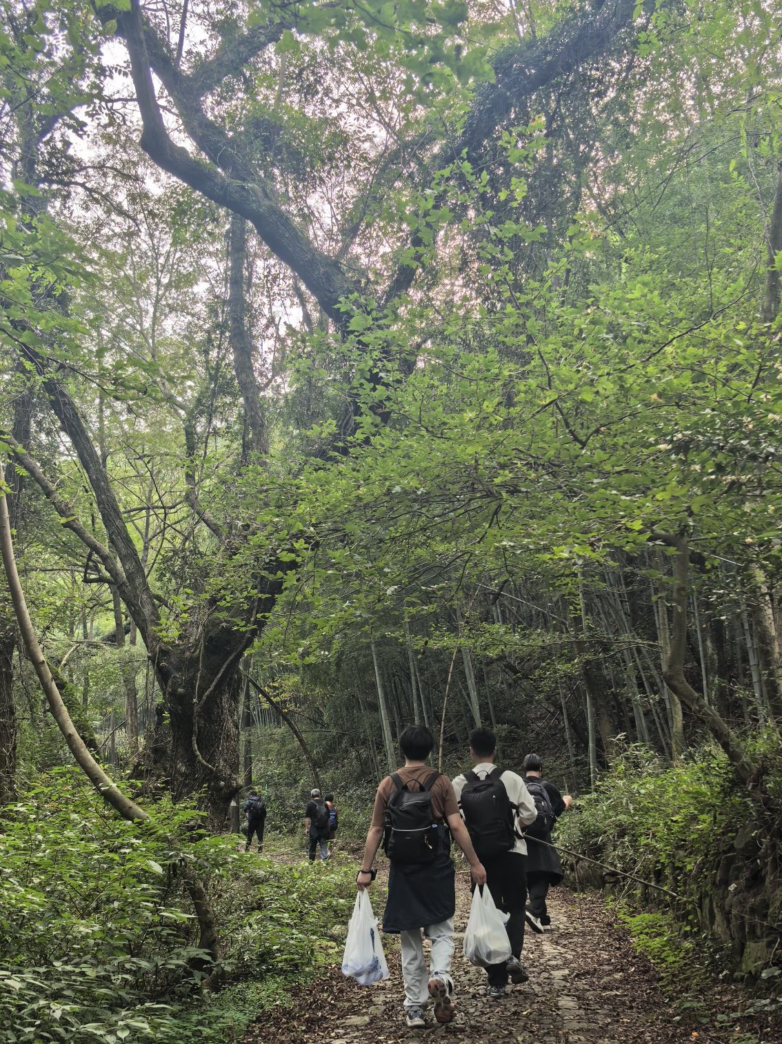 日铸岭古道旅行图片 2