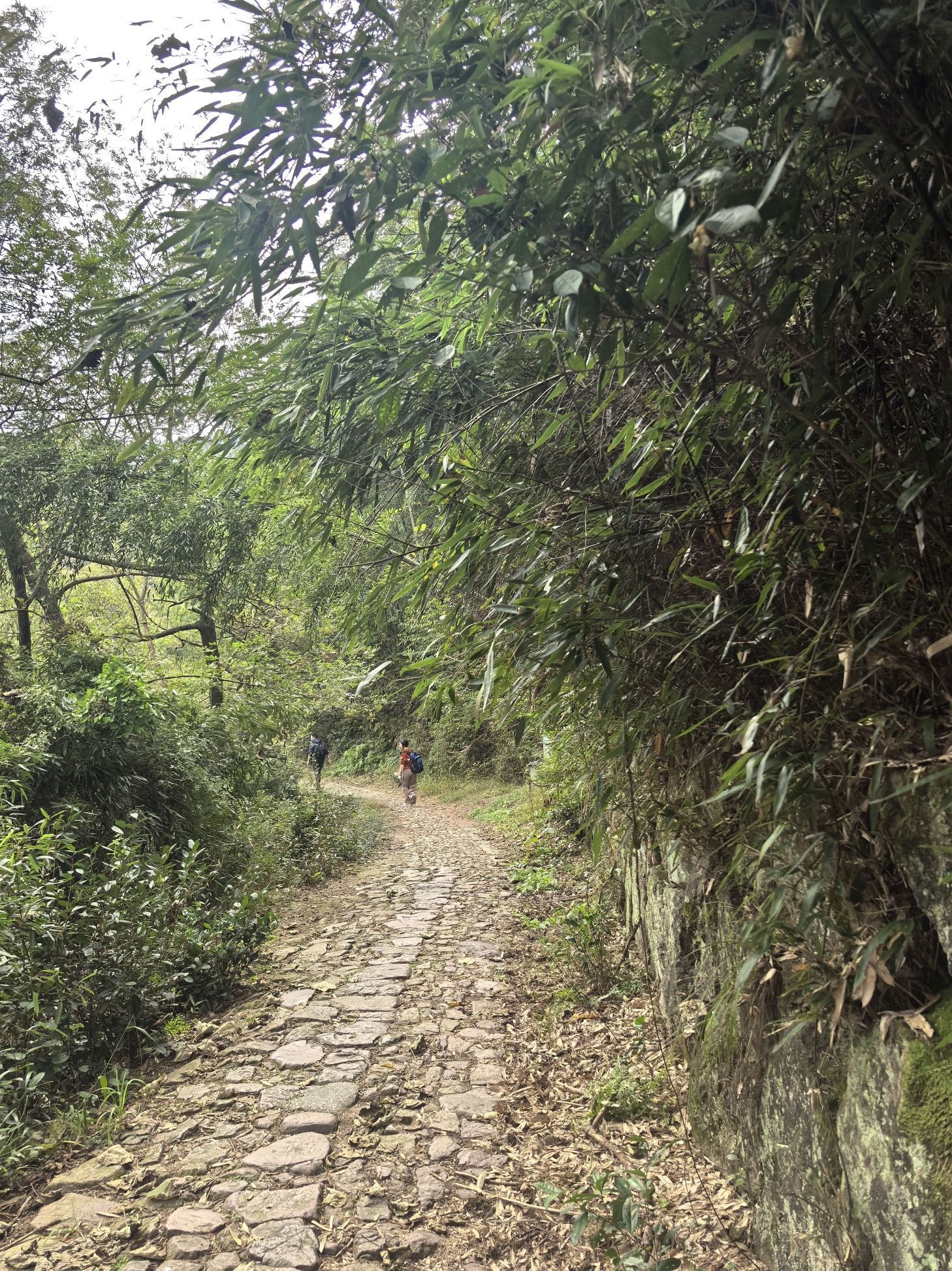 日铸岭古道旅行图片 1