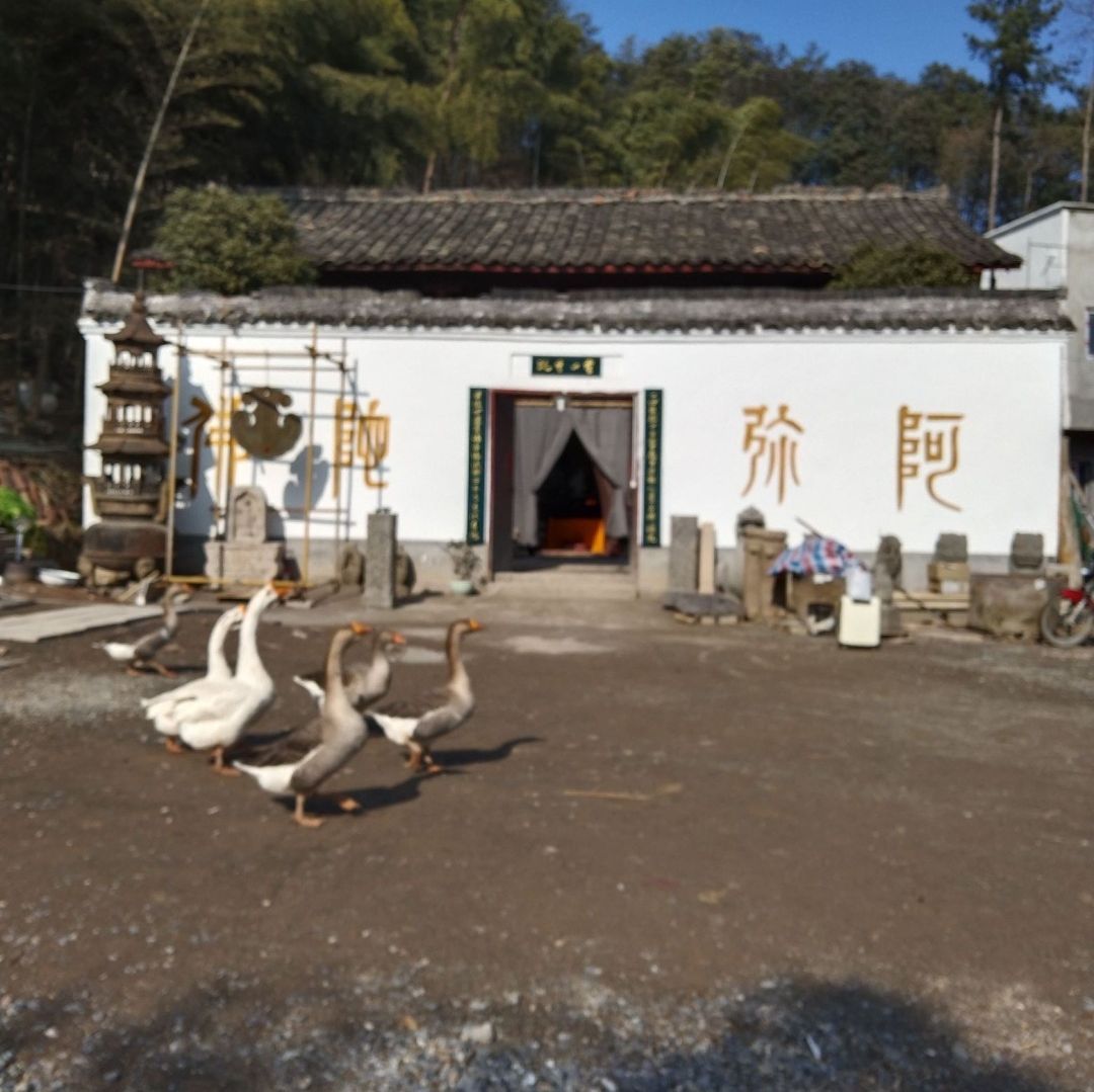 南天目山千佛寺实景照片