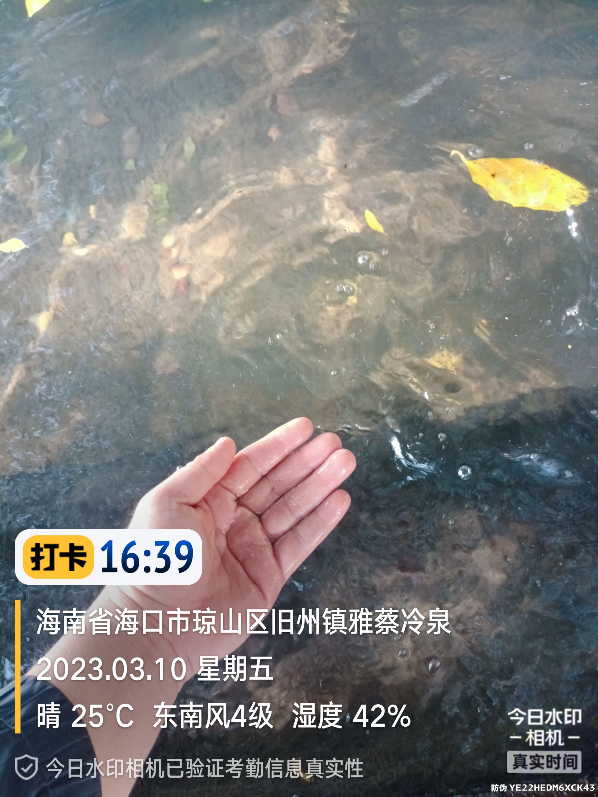 雅蔡冷泉旅行图片 1