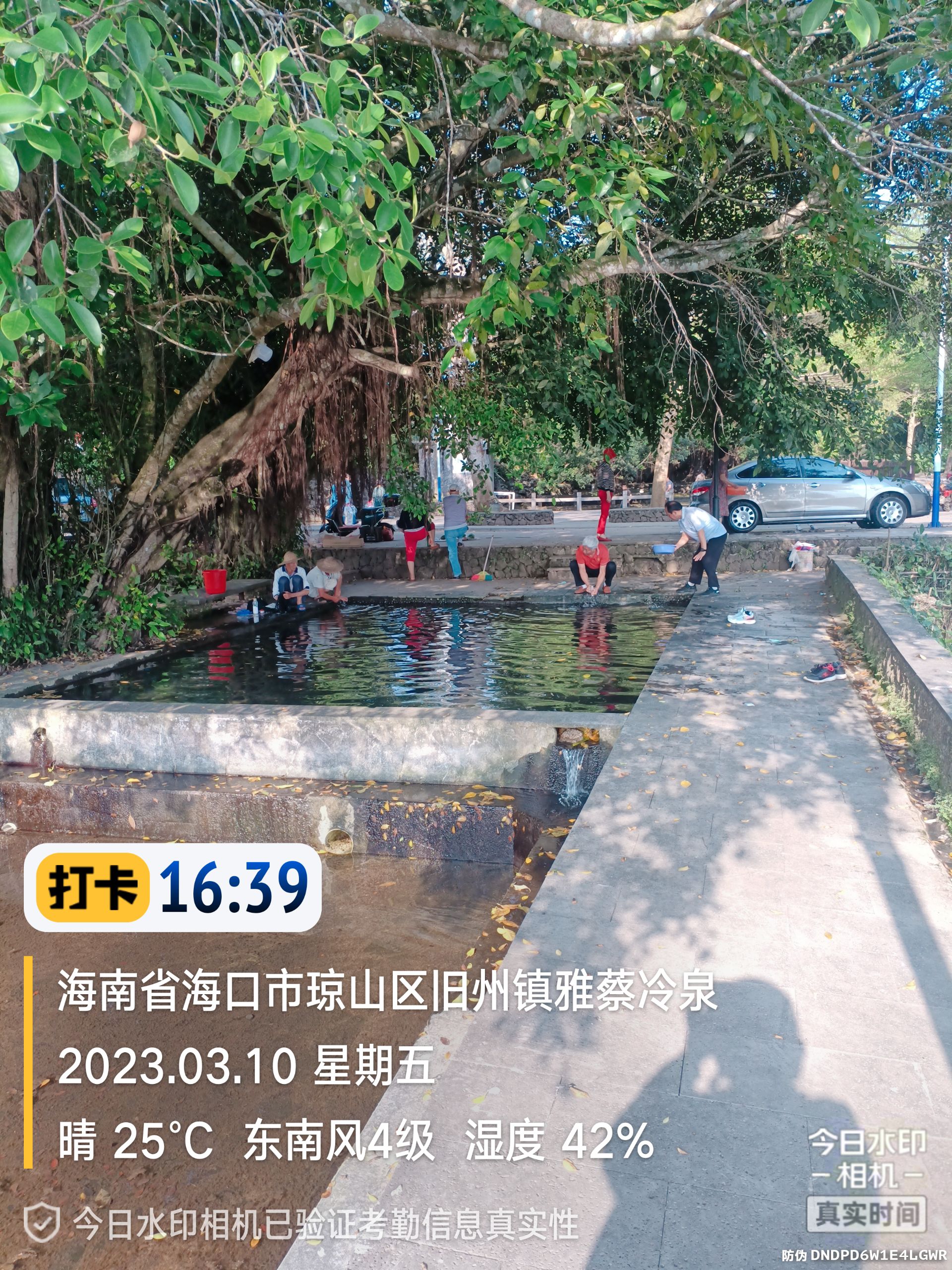 雅蔡冷泉旅行图片 2