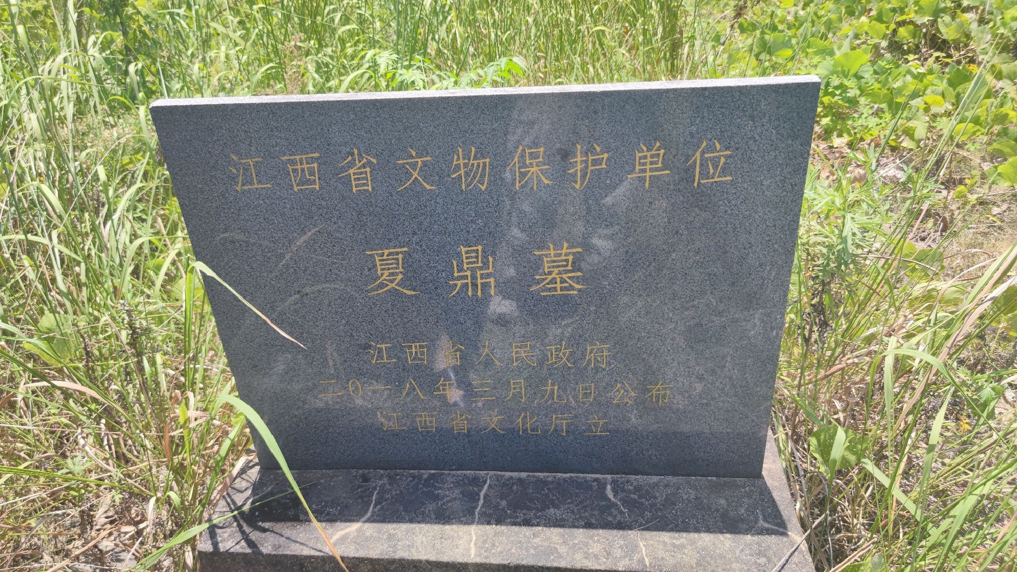 夏鼎墓旅行图片 1