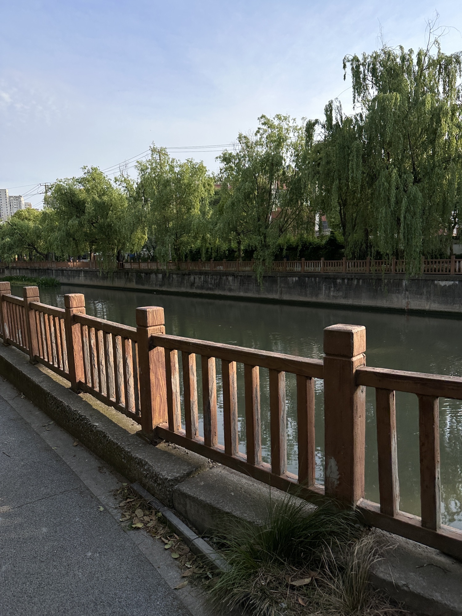 杨家桥滨河绿地旅行图片 1