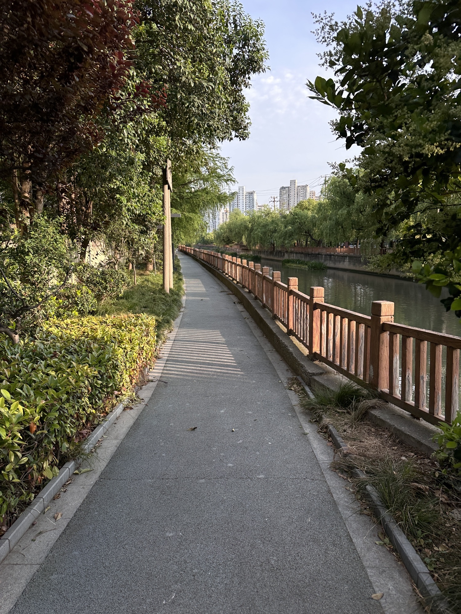 杨家桥滨河绿地旅行图片 2