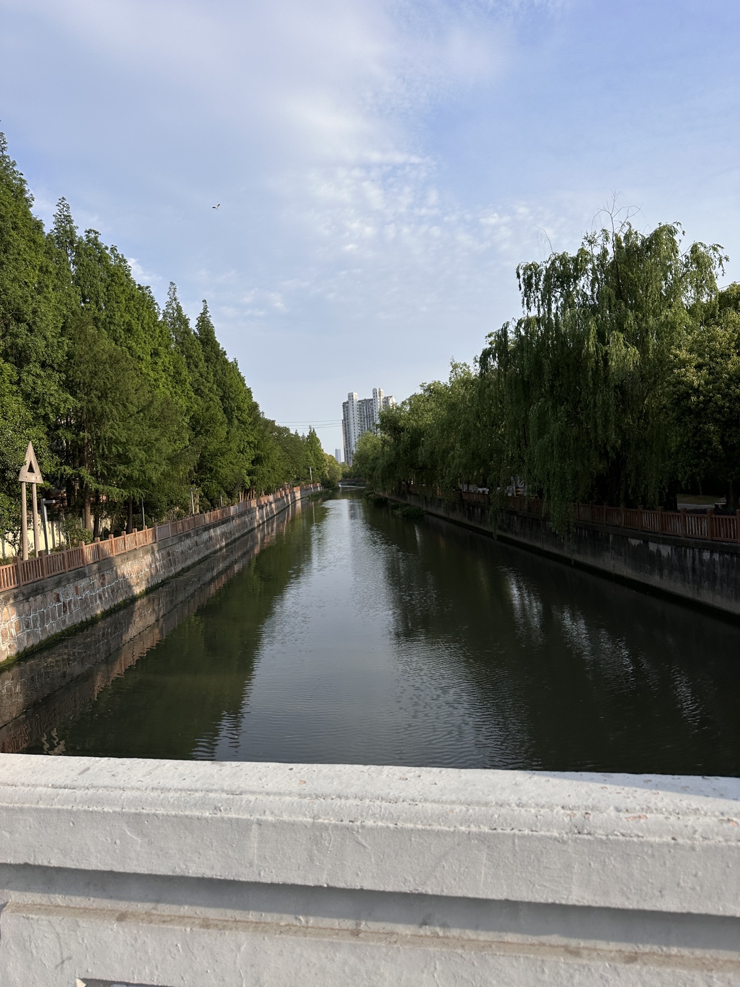 杨家桥滨河绿地旅行图片 3