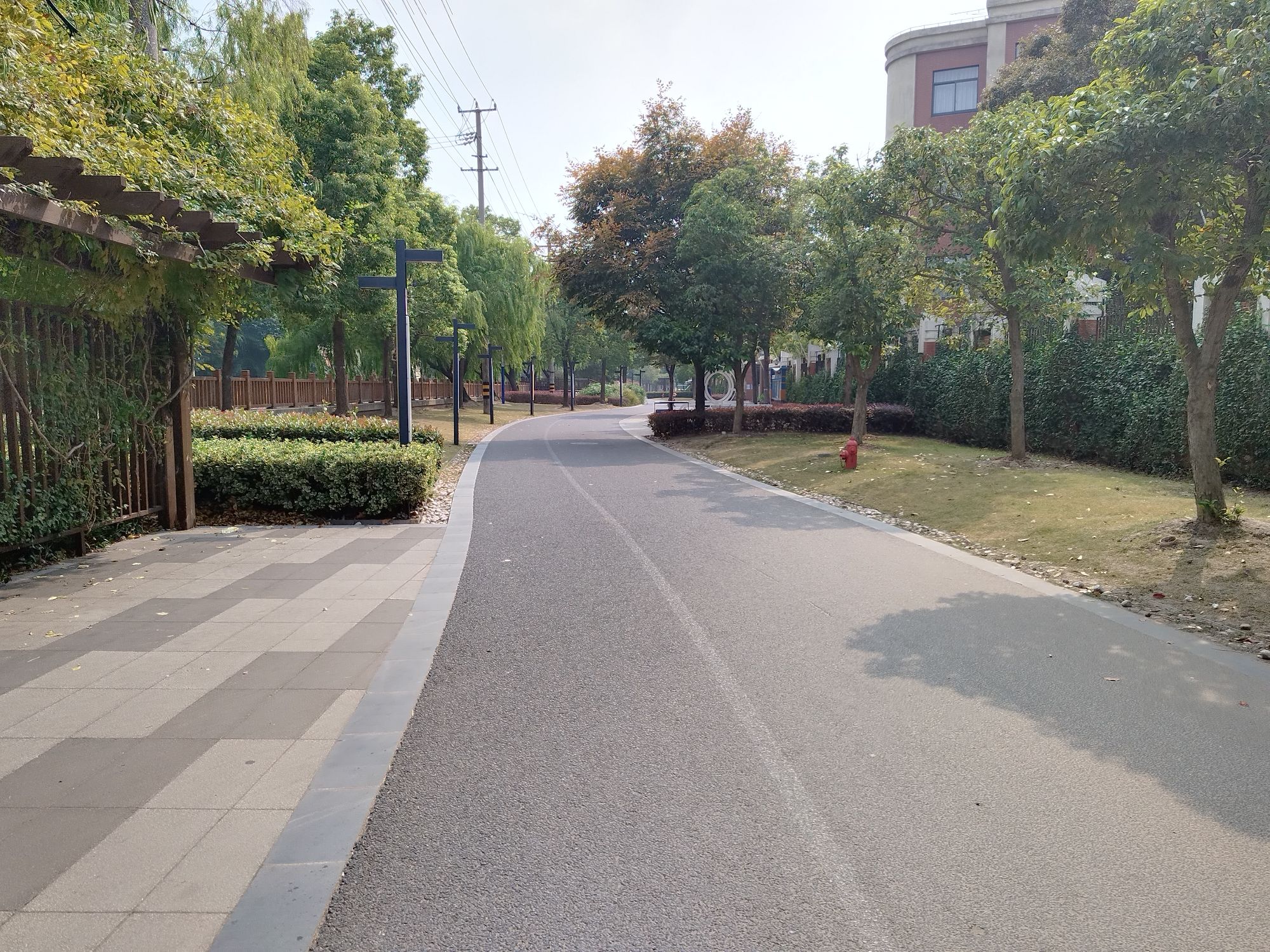 杨家桥滨河绿地旅行图片 1