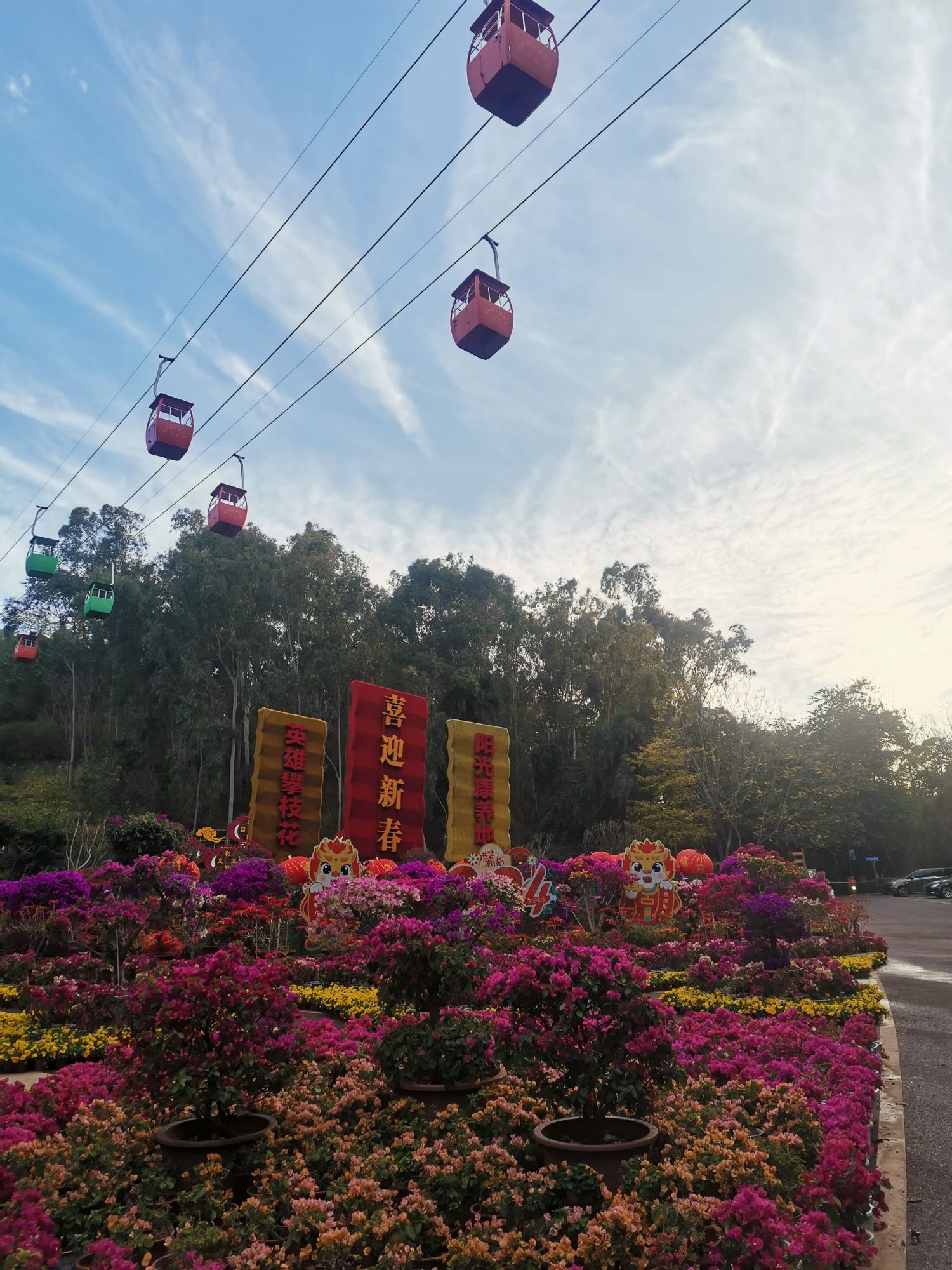 攀枝花公园旅行图片 3