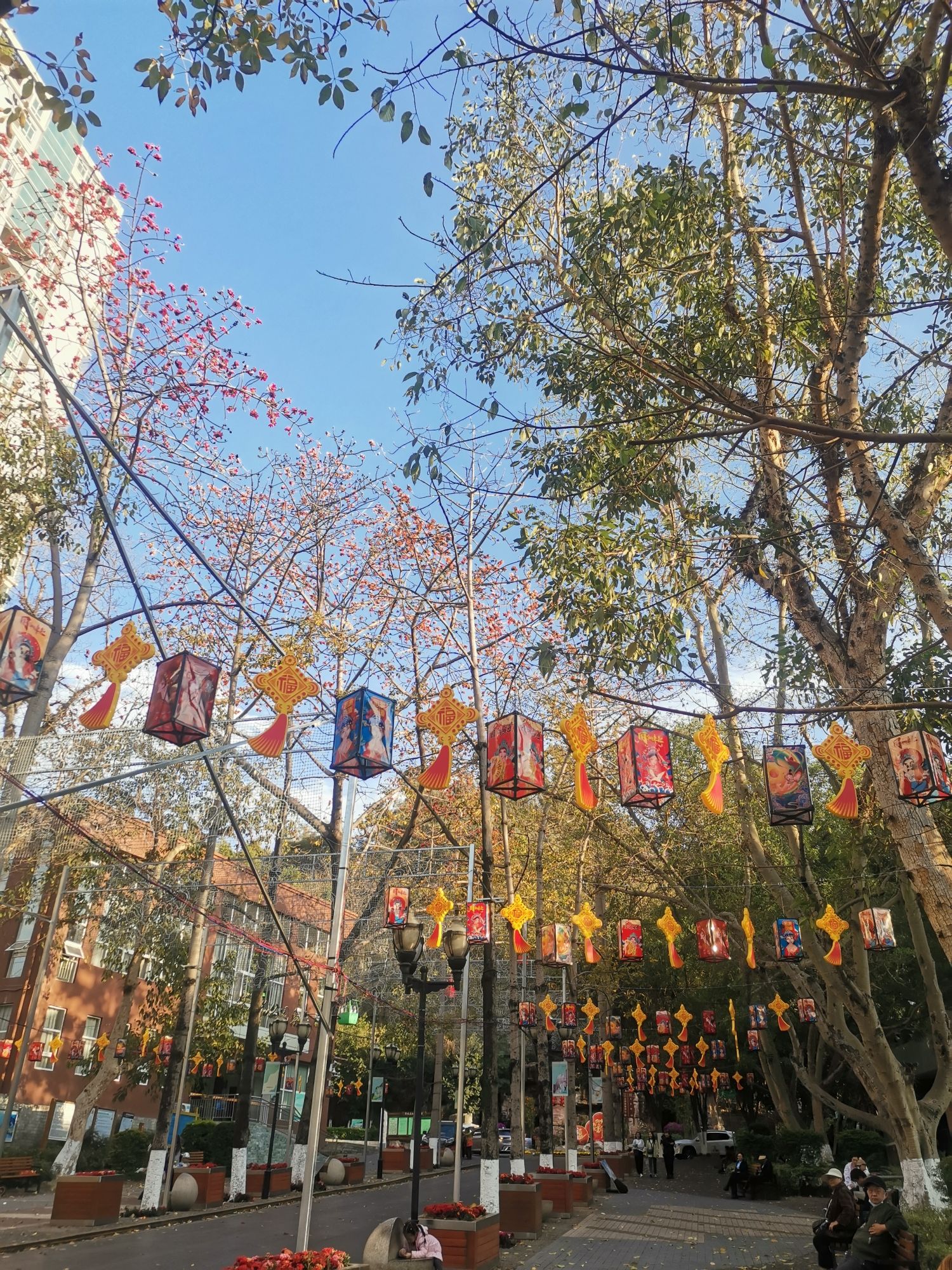 攀枝花公园旅行图片 2