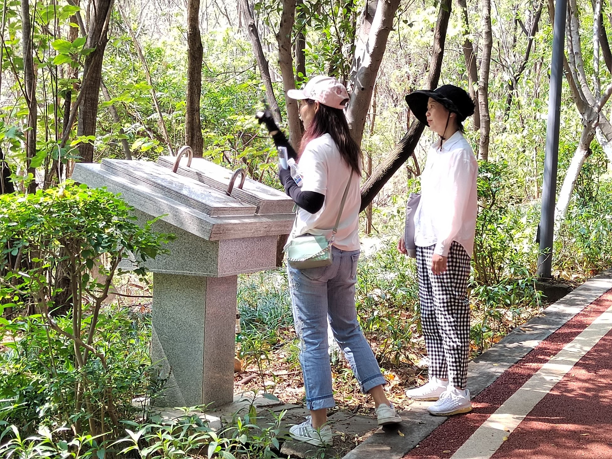 攀枝花公园旅行图片 3