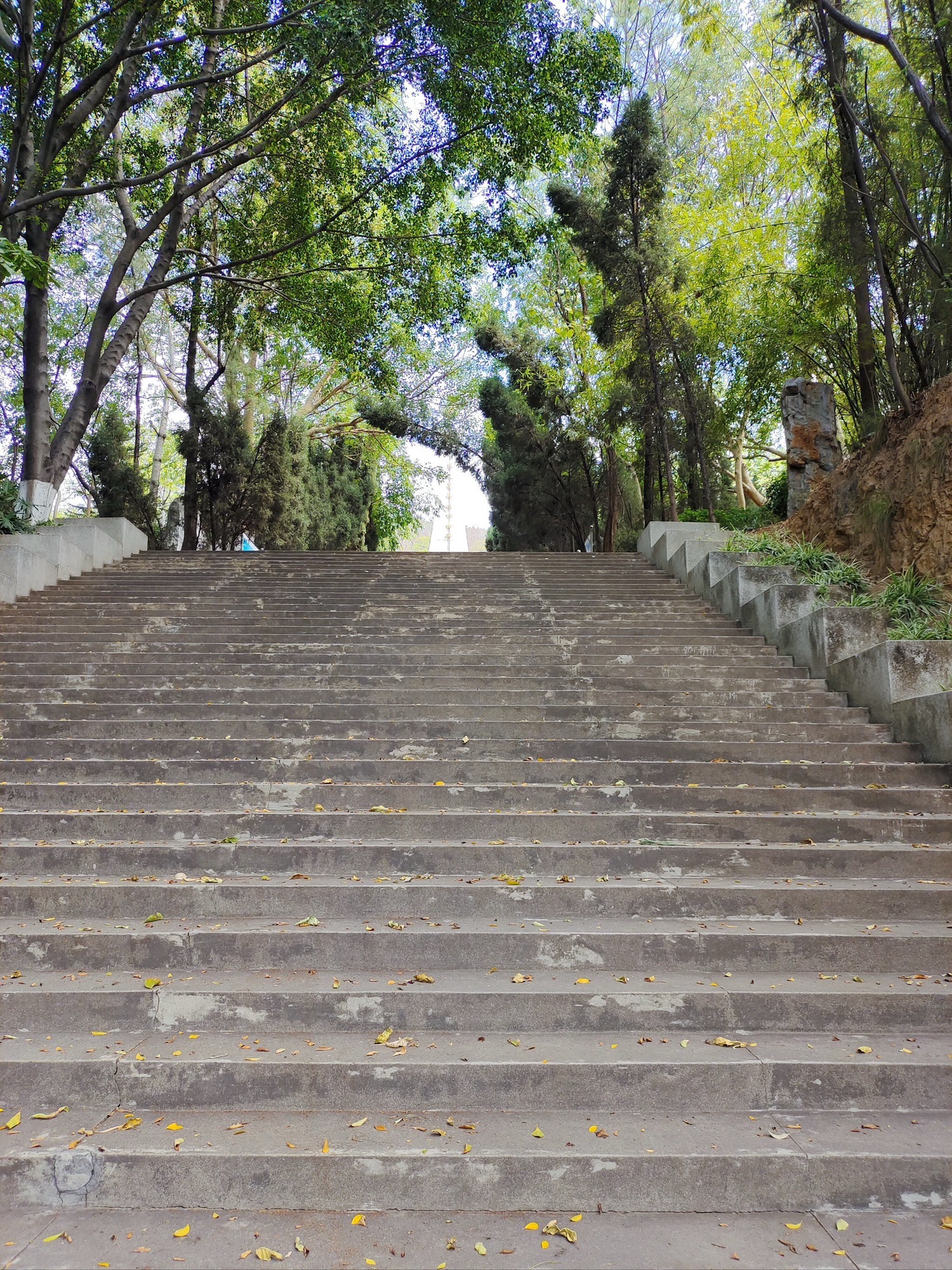 攀枝花公园旅行图片 3