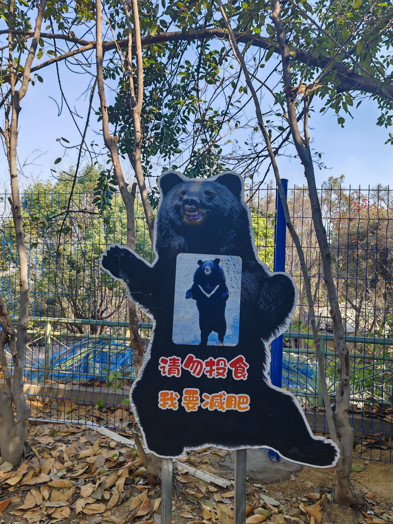 攀枝花公园旅行图片 3