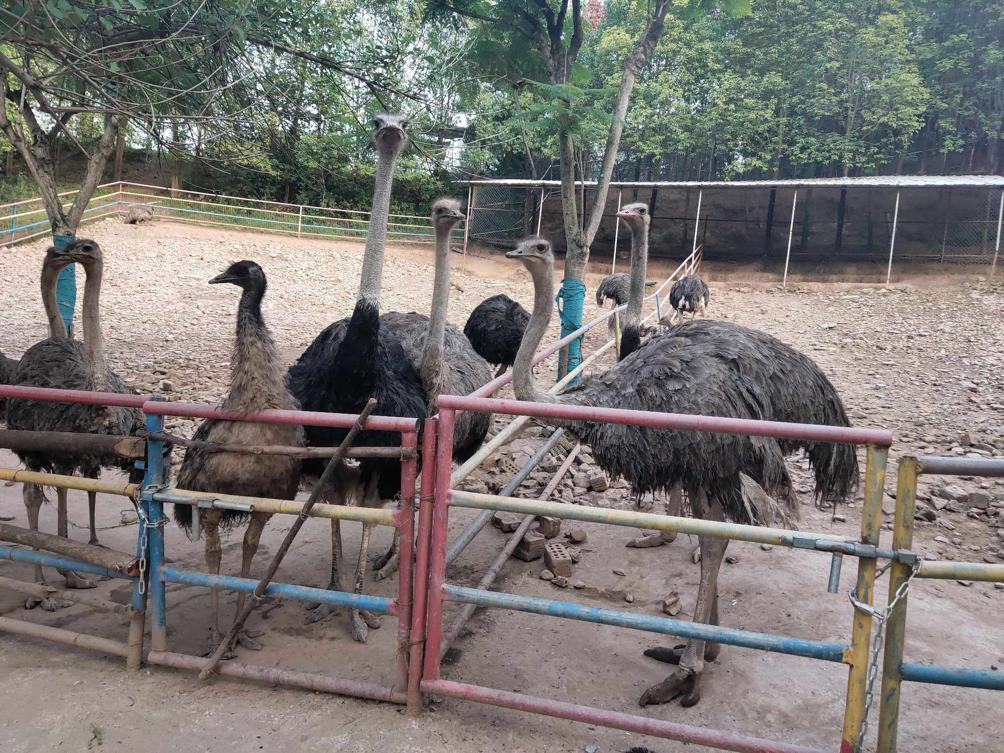 花香田园旅行图片 1