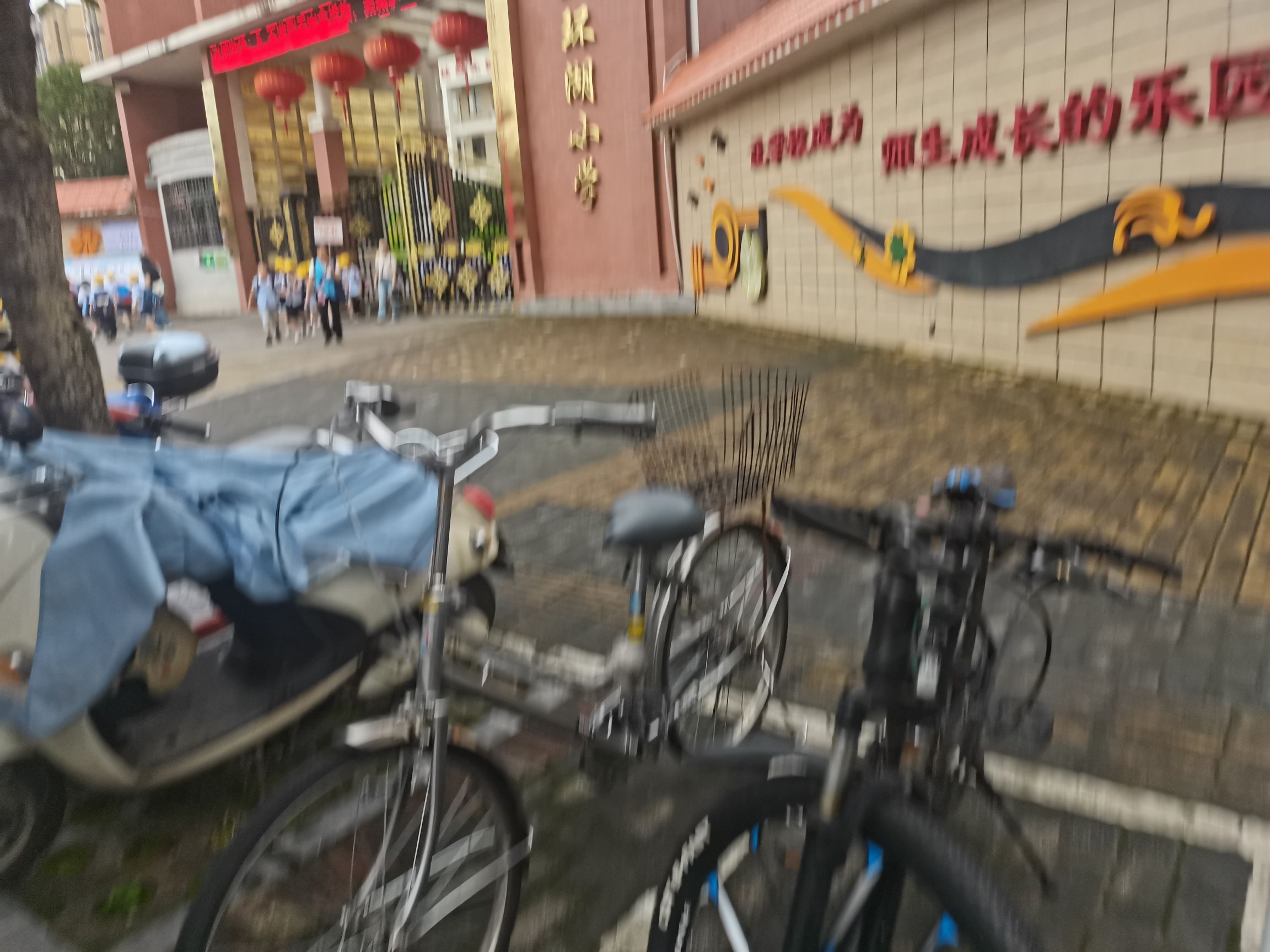 桂林市临桂区环湖小学