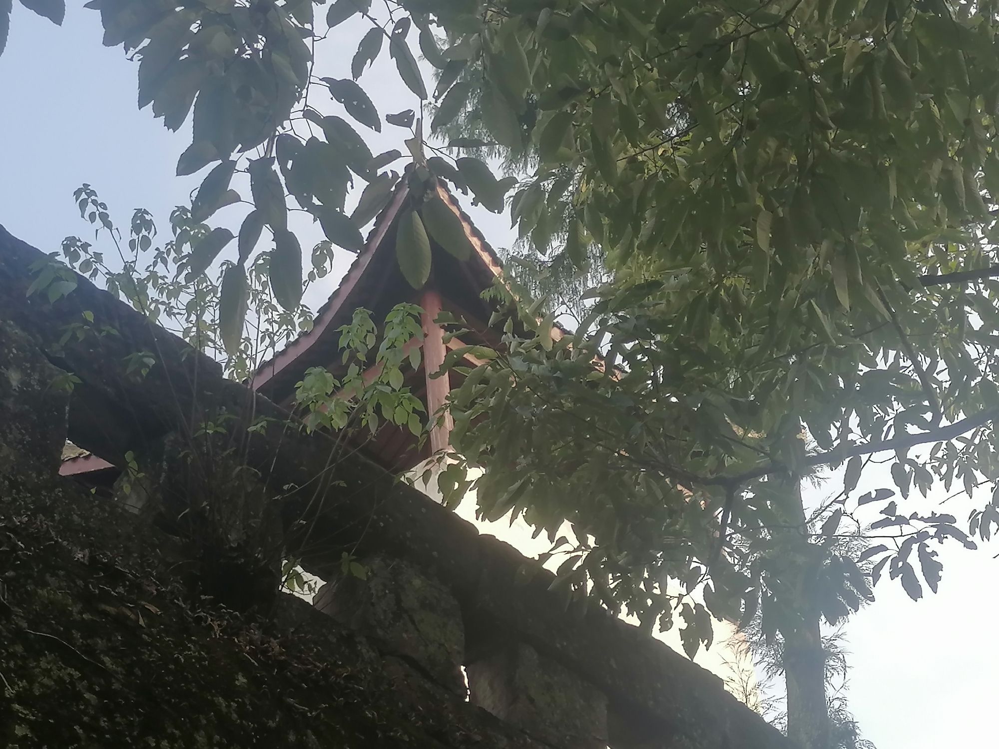 东岩古寨旅行图片 1
