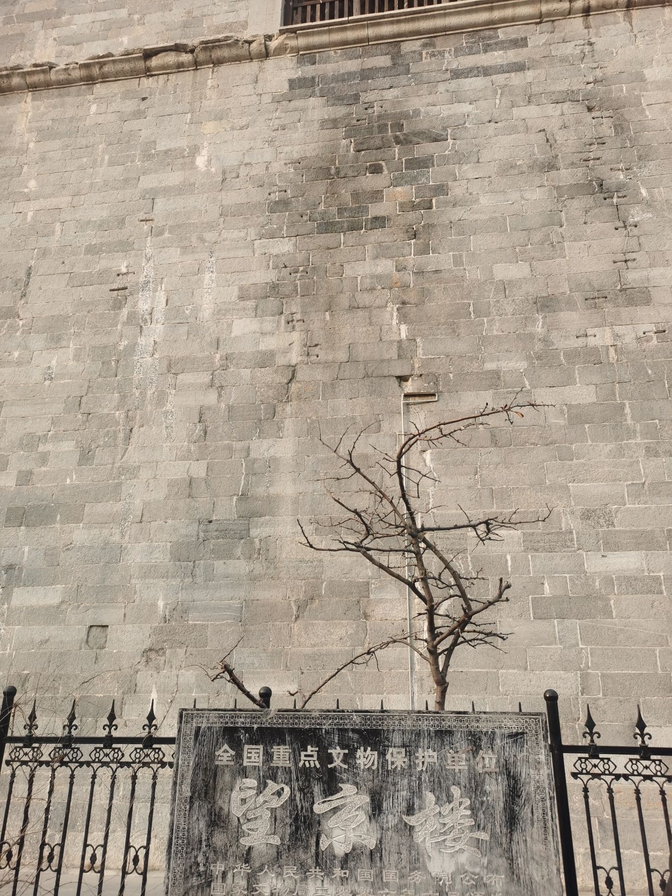望京楼旅行图片 2