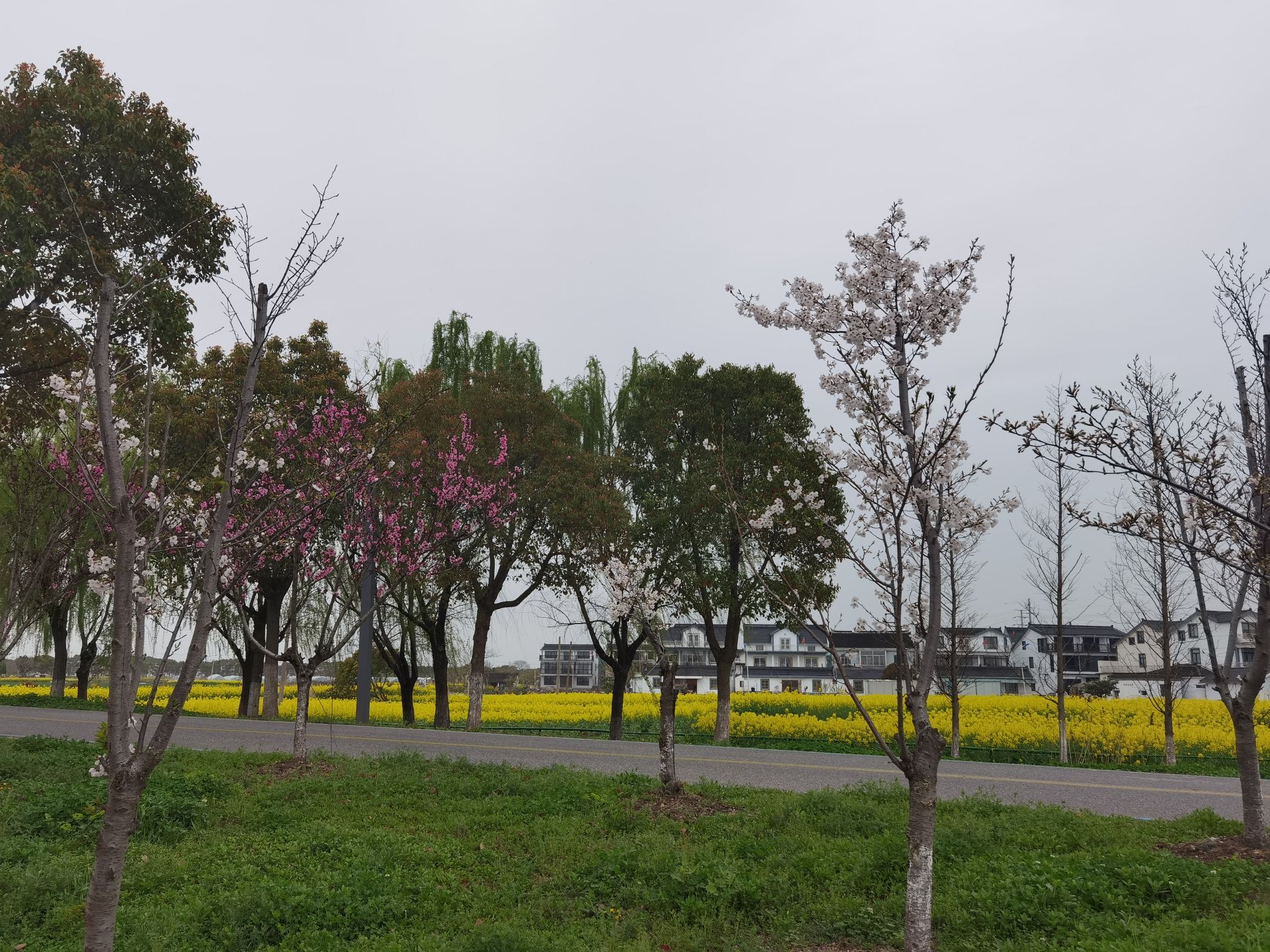 明镜荡水利风景区旅行图片 3
