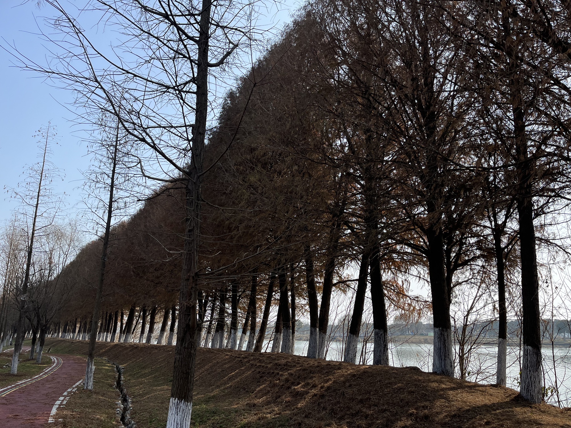 明镜荡水利风景区旅行图片 2