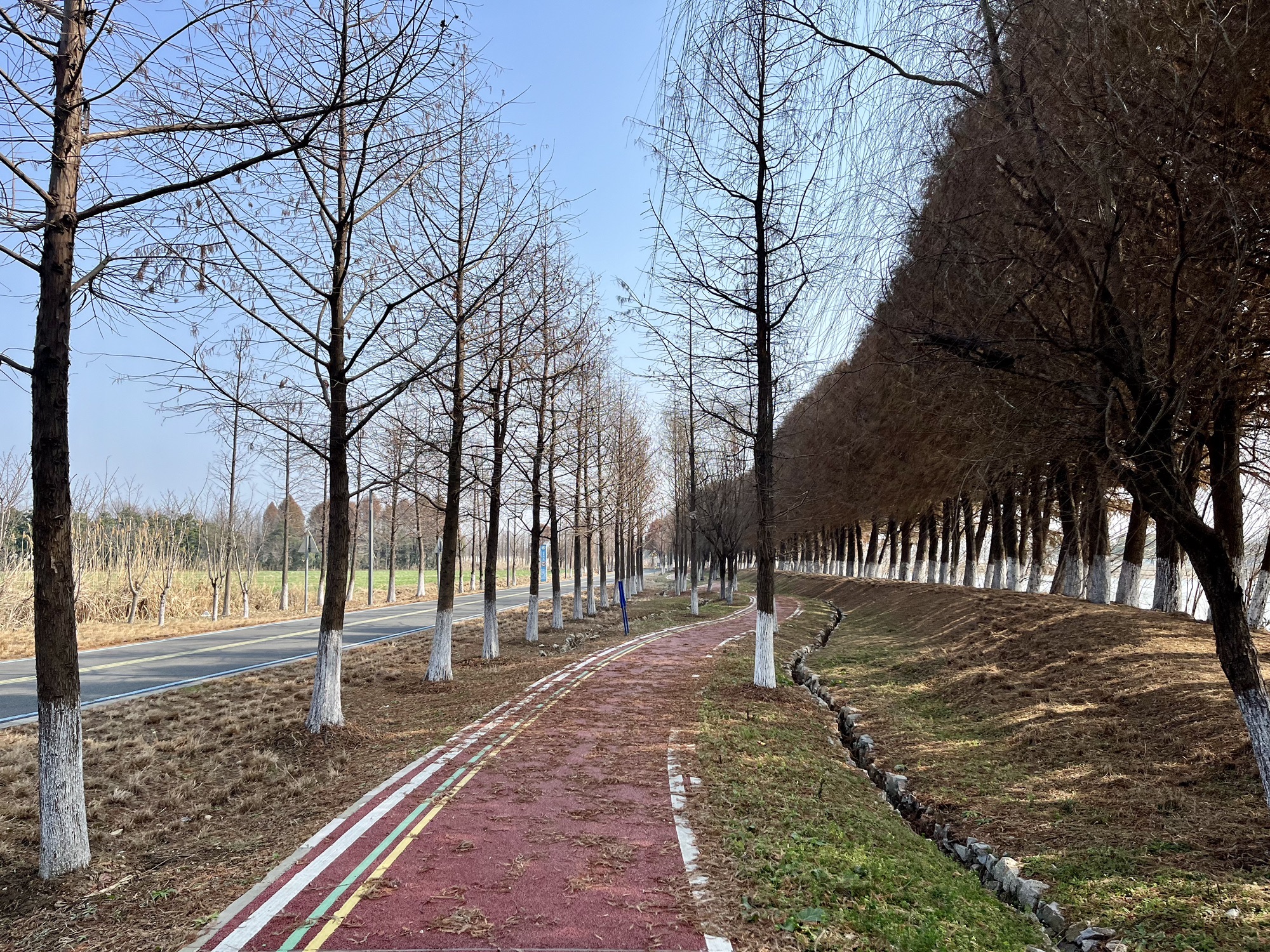 明镜荡水利风景区旅行图片 1