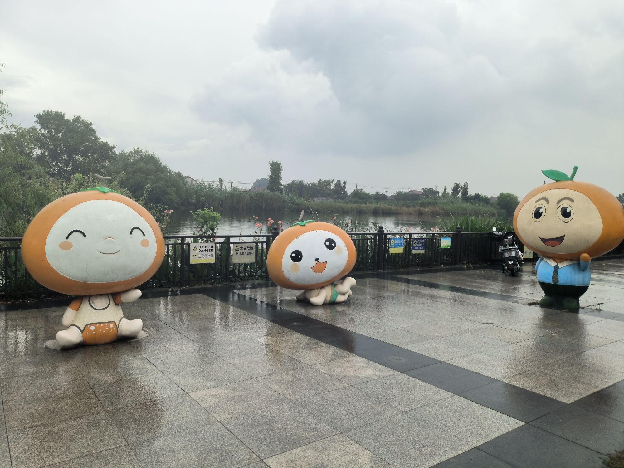 镇江江心洲旅行图片 3