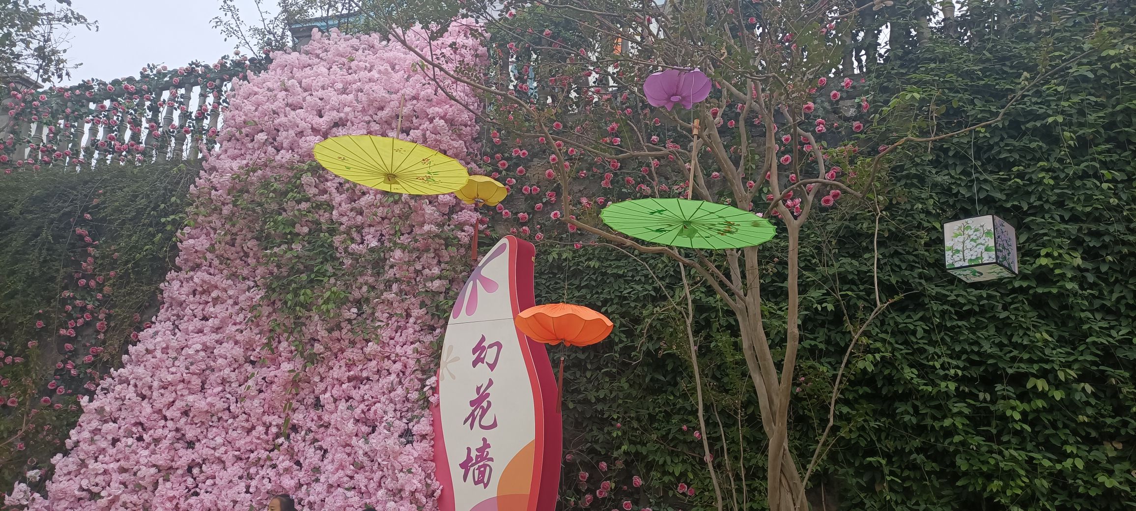 上庸文化旅游区旅行图片 1