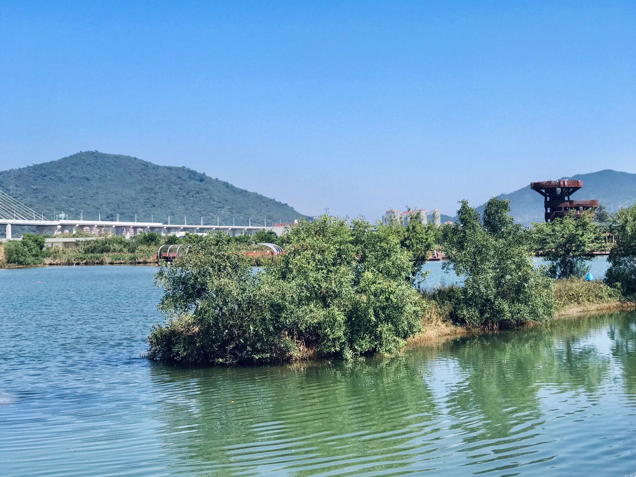 横琴芒洲湿地公园旅行图片 1