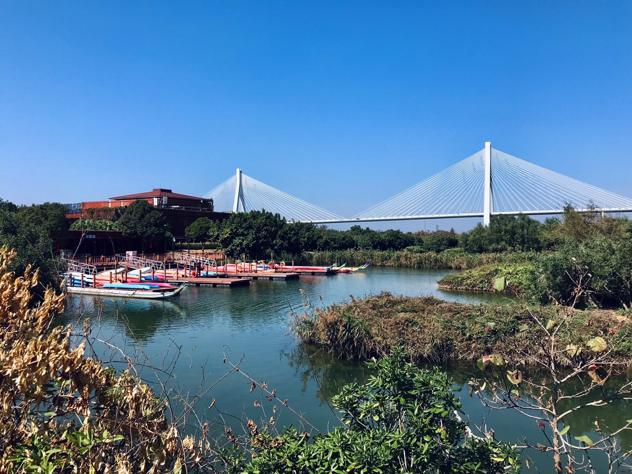 横琴芒洲湿地公园旅行图片 3