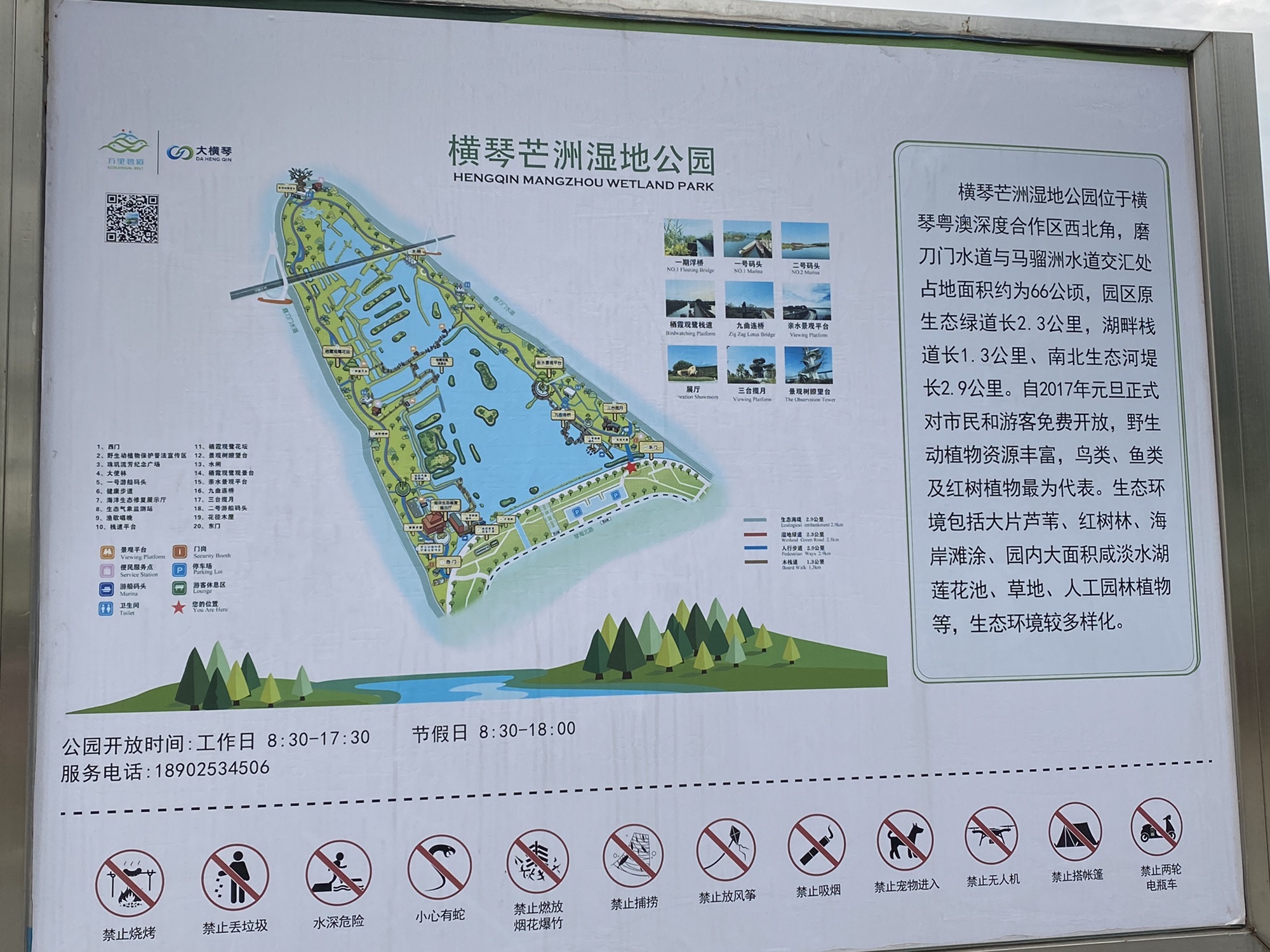 横琴芒洲湿地公园旅行图片 1