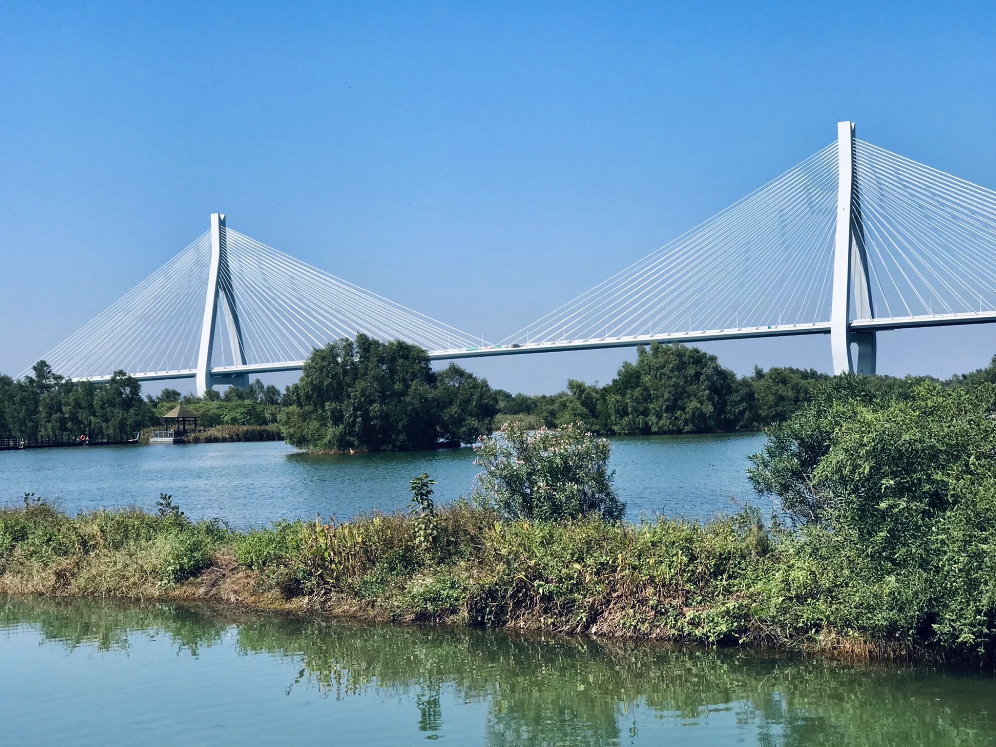 横琴芒洲湿地公园旅行图片 2