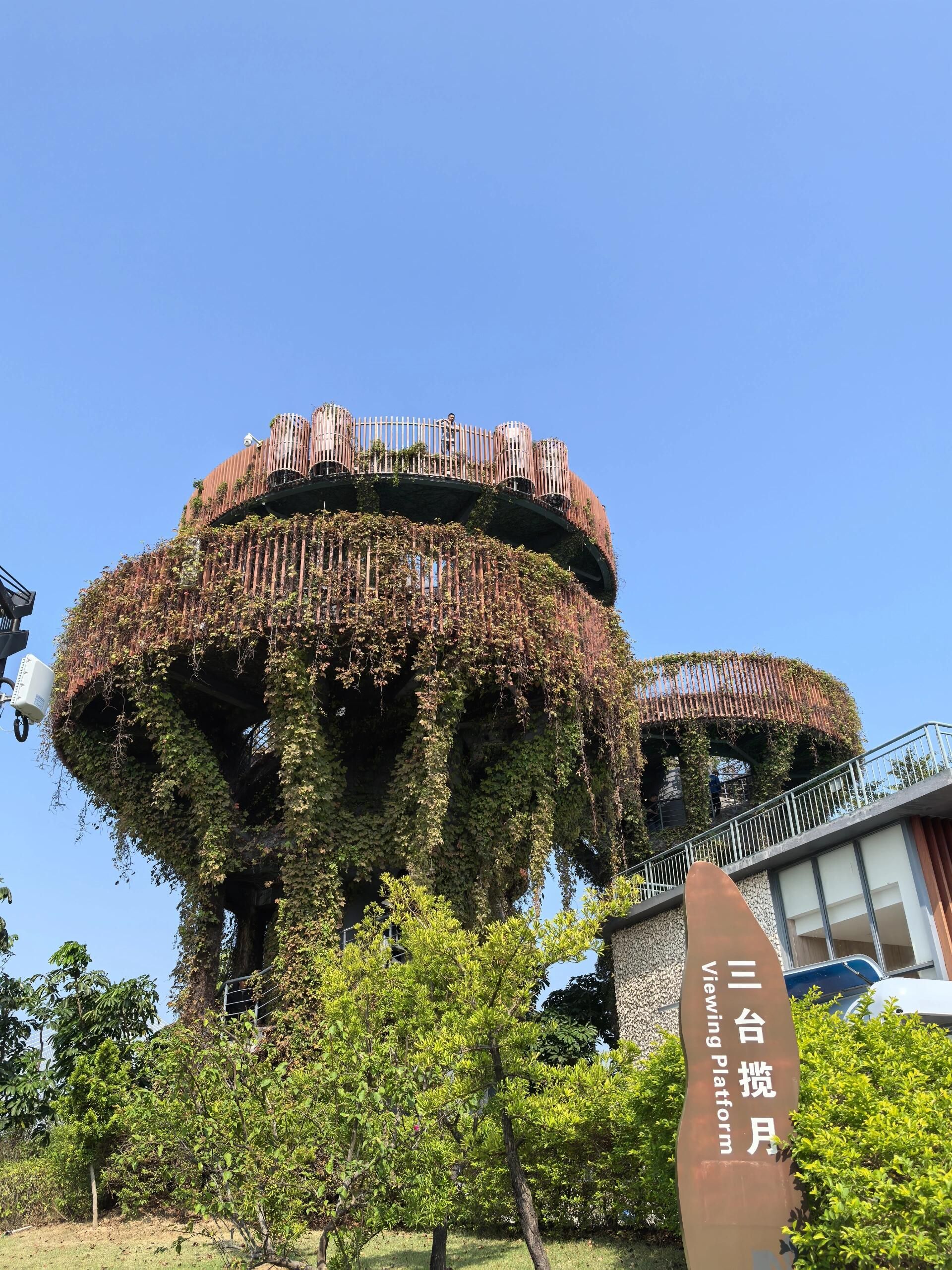 横琴芒洲湿地公园旅行图片 2